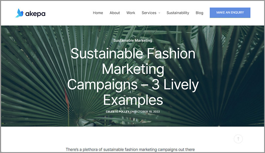 Sustainable fashion marketing campaigns examples.