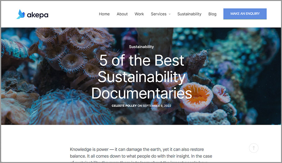 The best Netflix sustainability documentaries.