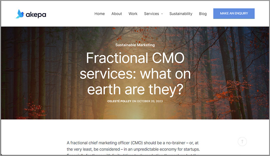 What are fractional CMO services?