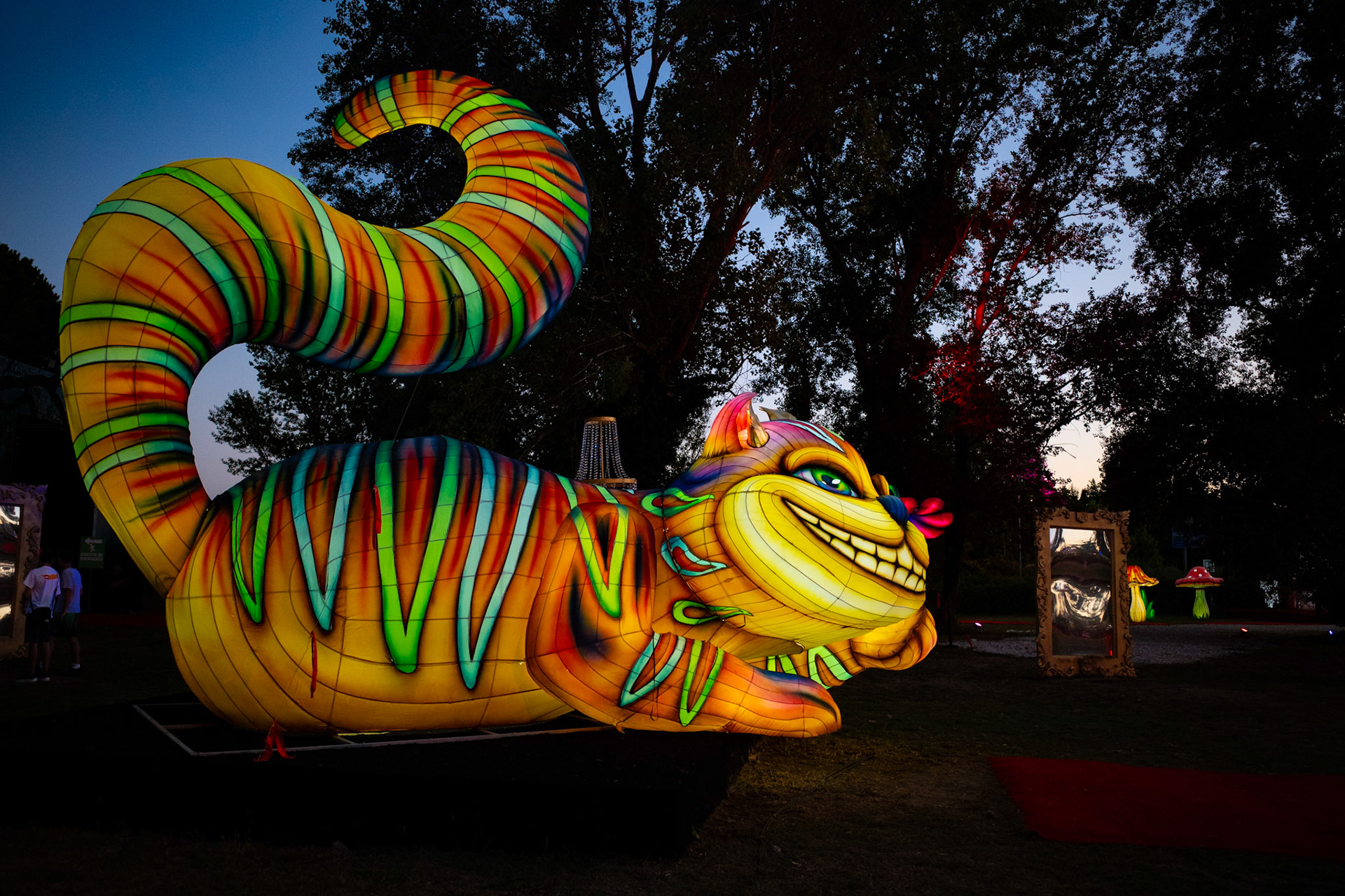 The grin in the dark