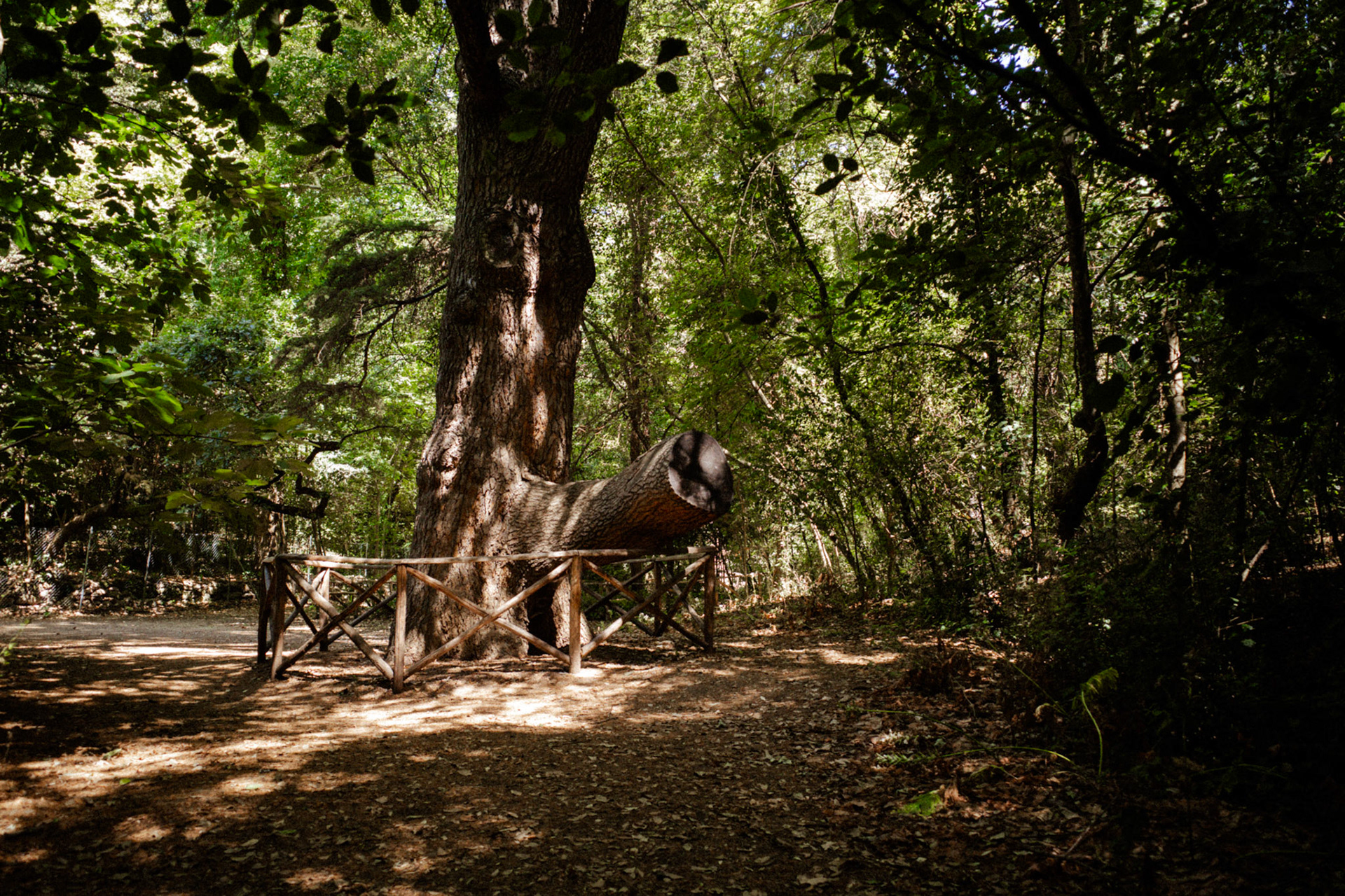 Whispers of a never ending story