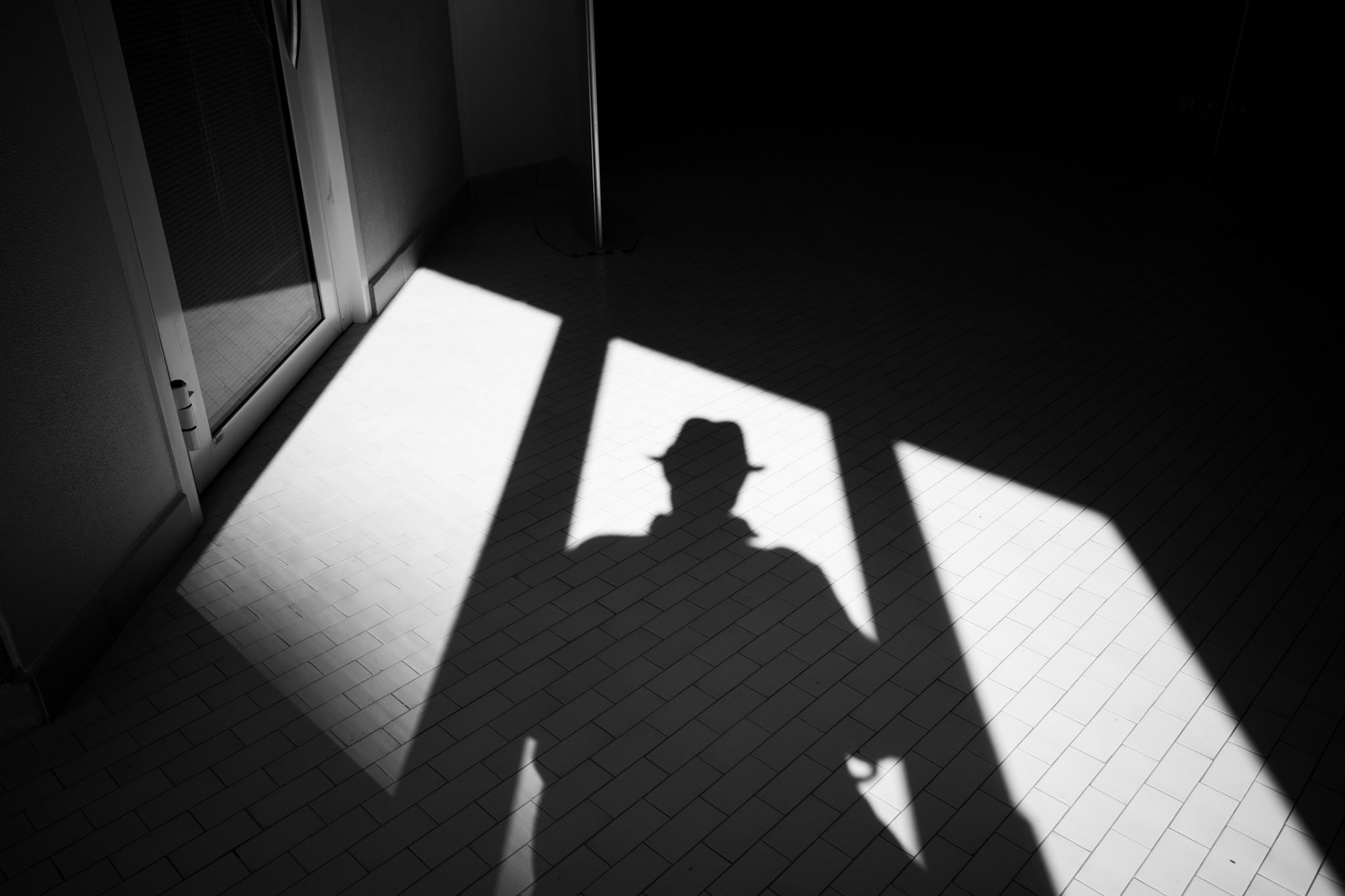 Shadow of the wanderer