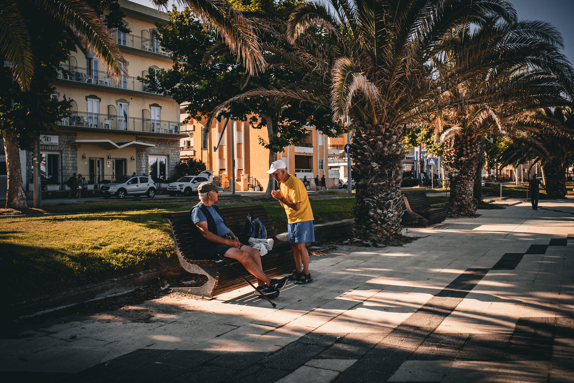 Morning beneath the palms