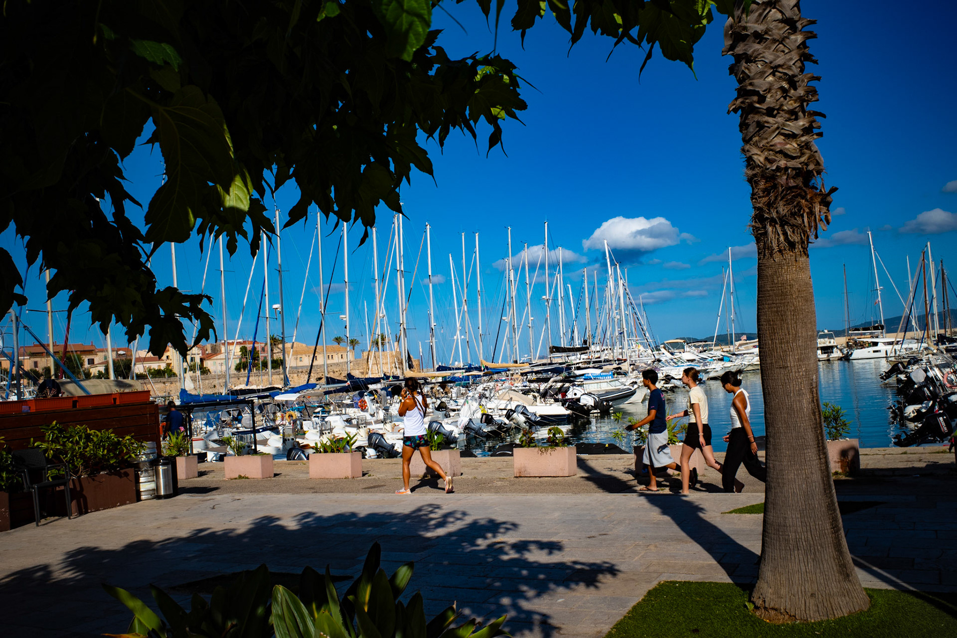 When the morning learns to shine