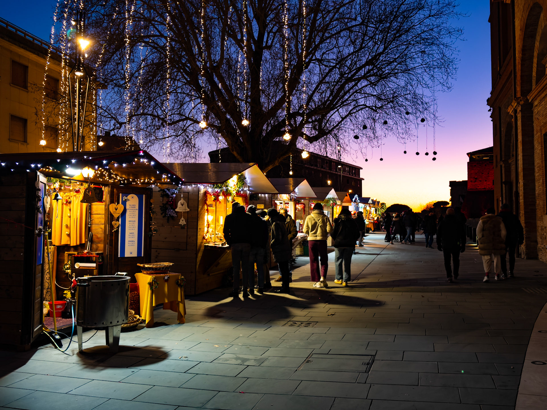 Along the avenue of wonders