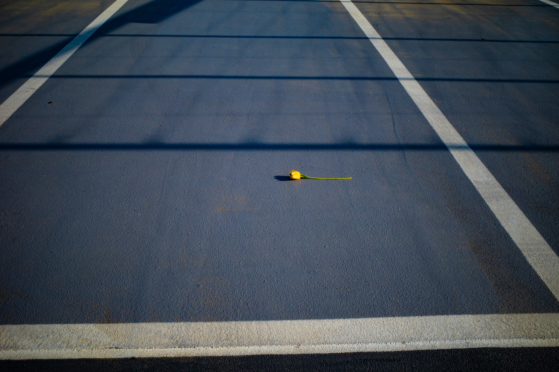 Things left unfinished