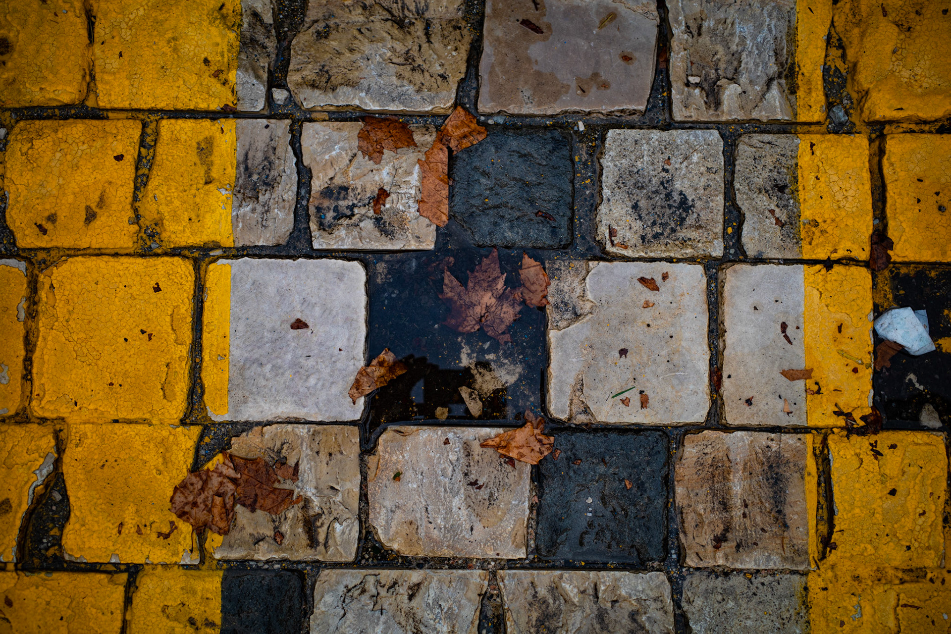 Echoes beneath our steps