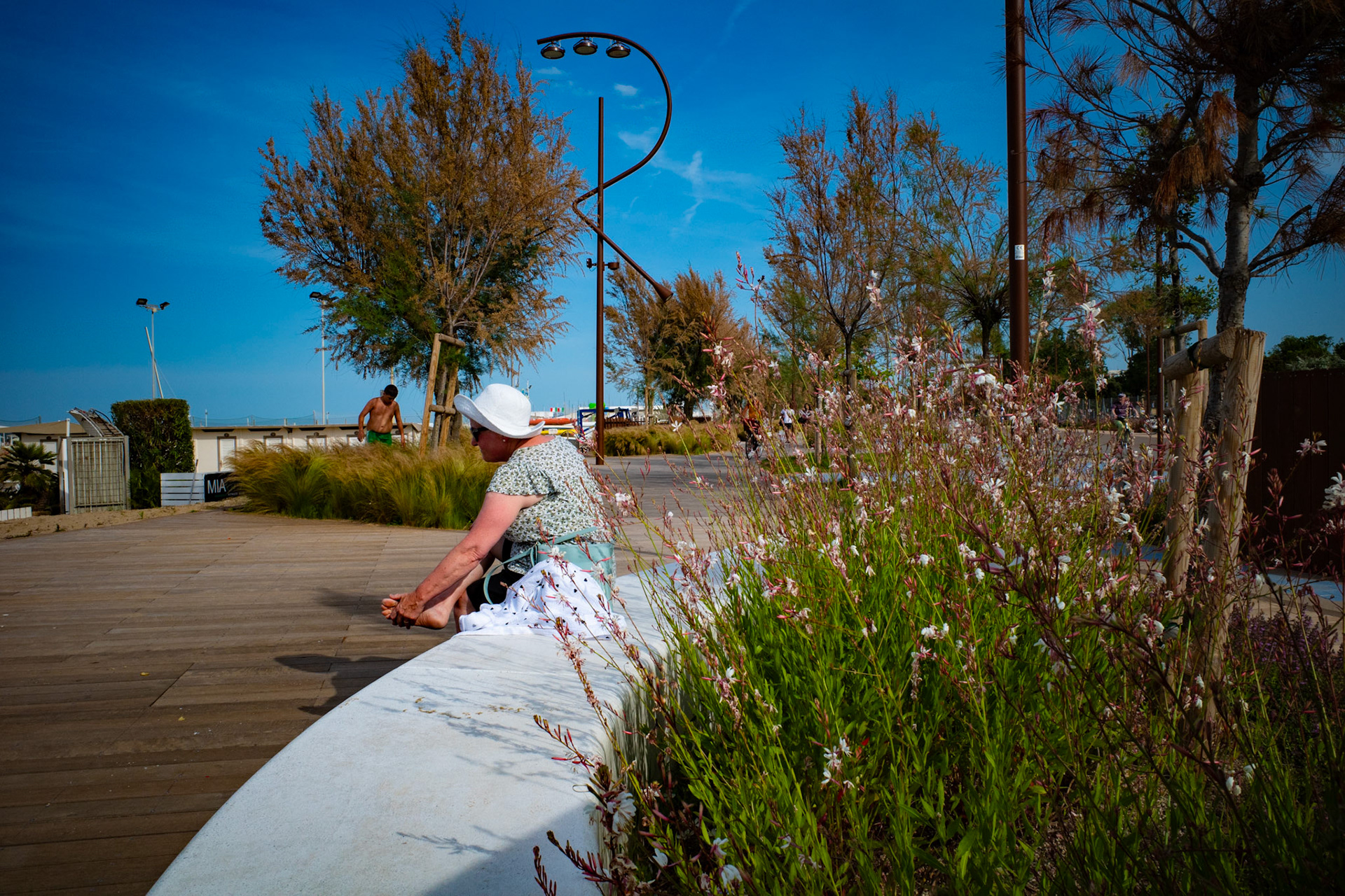 Whispers of a seated Summer