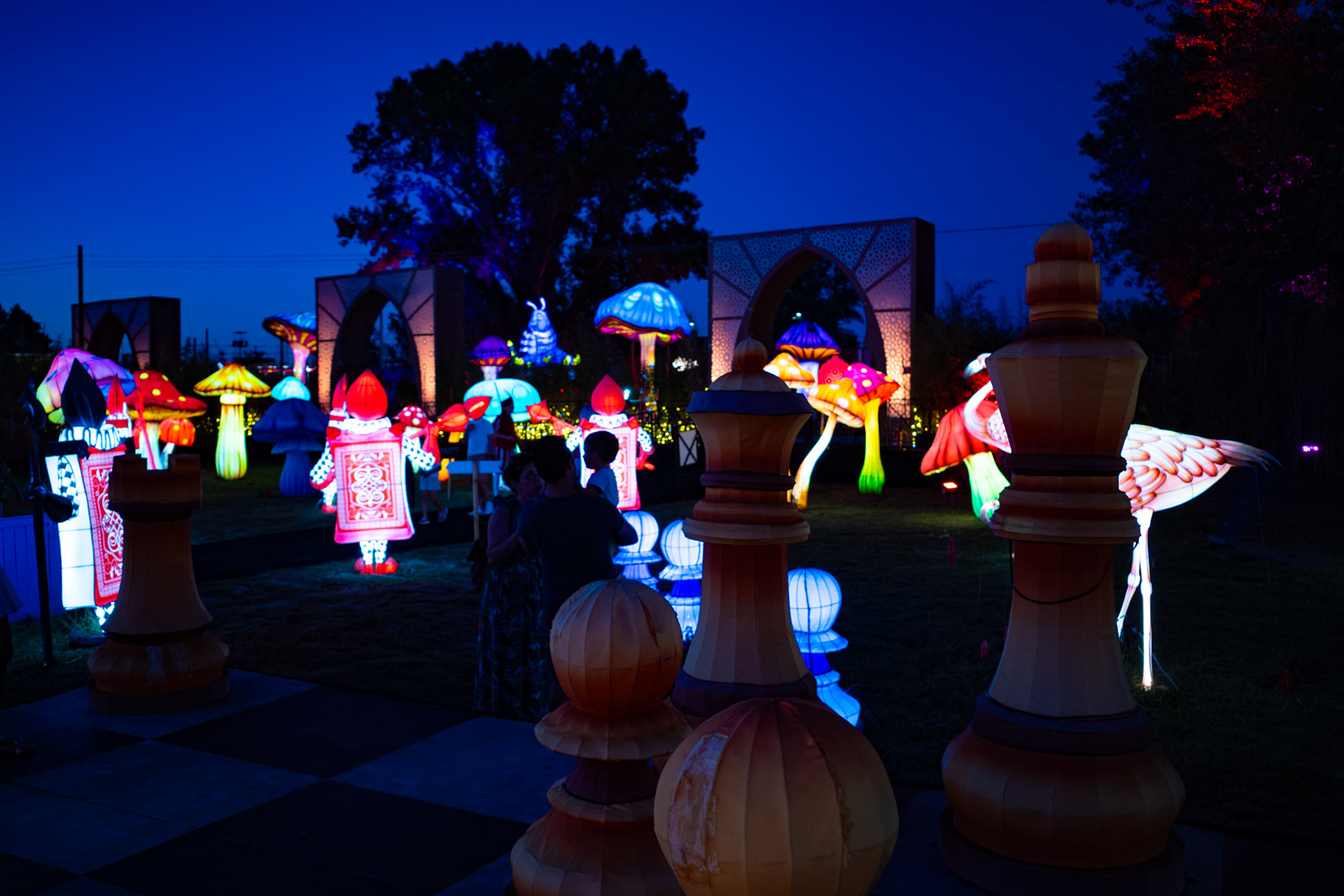 The chessboard of dreams