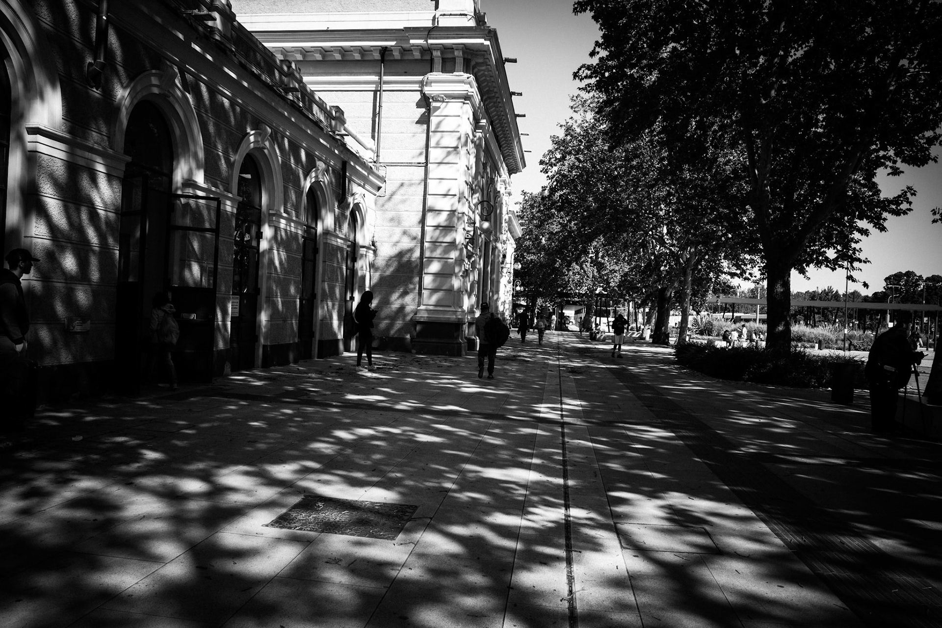 Shadows that walk beside us