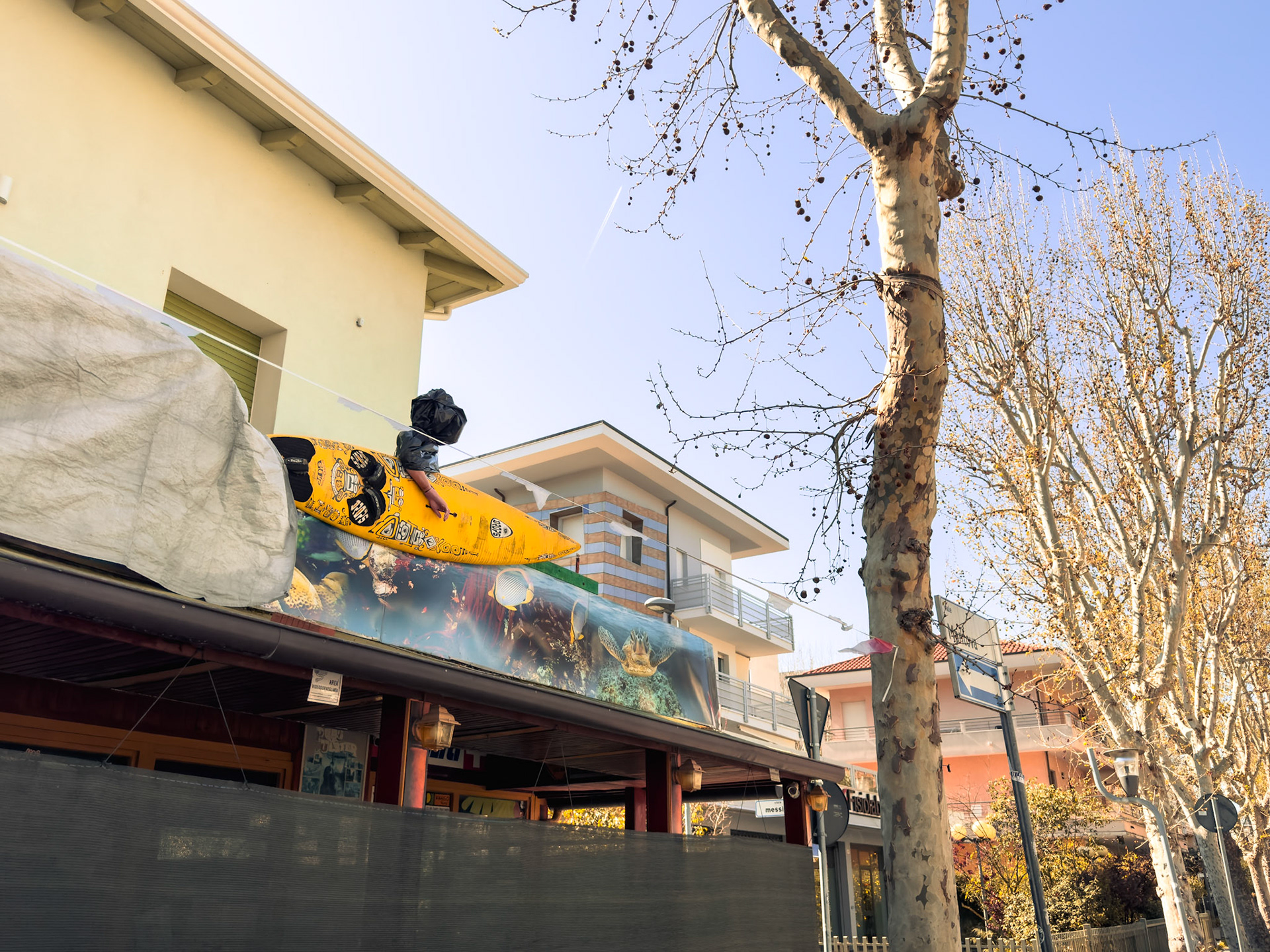 Urban irony: The winter surfer