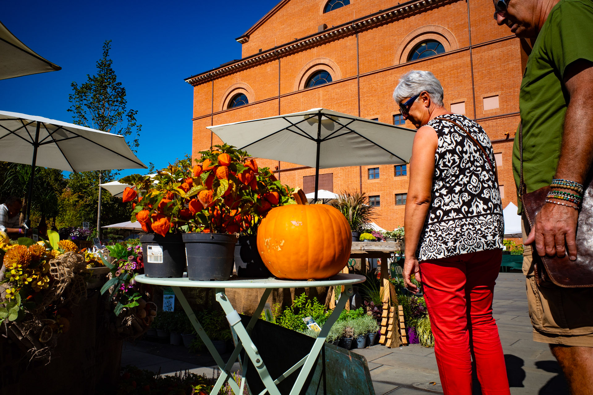 Autumn light on market tables