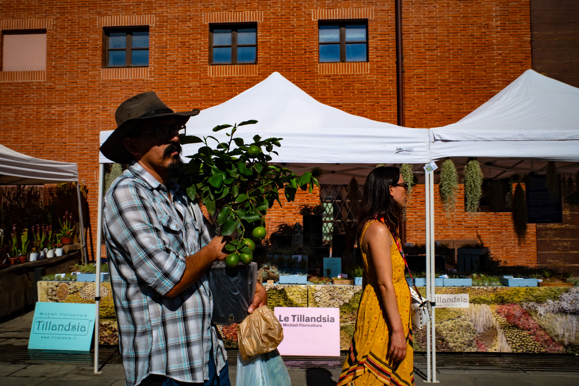 The hour that smells of sun and dust
