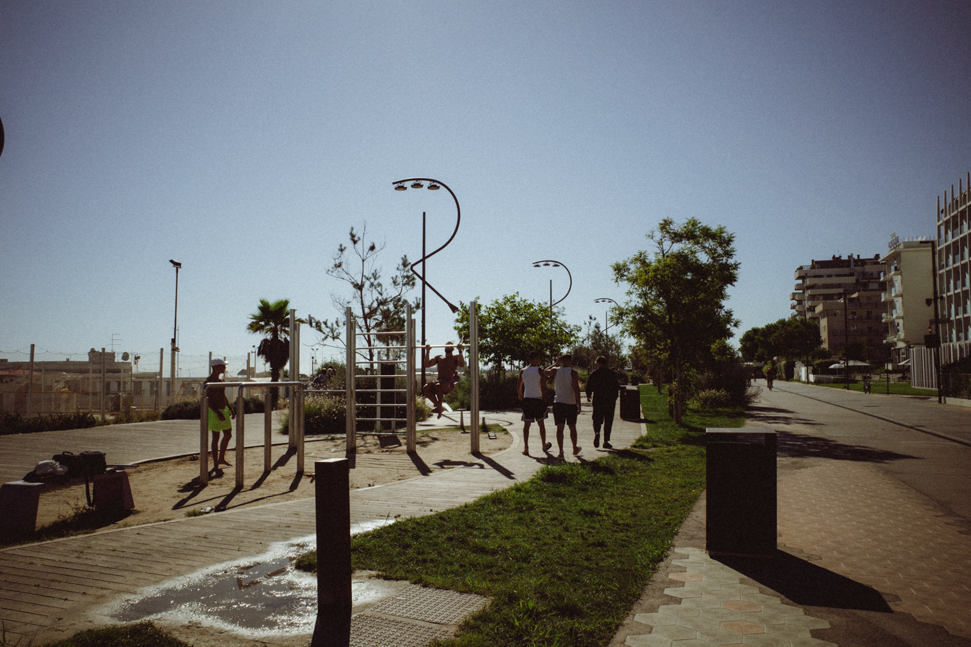 Morning shadows in motion