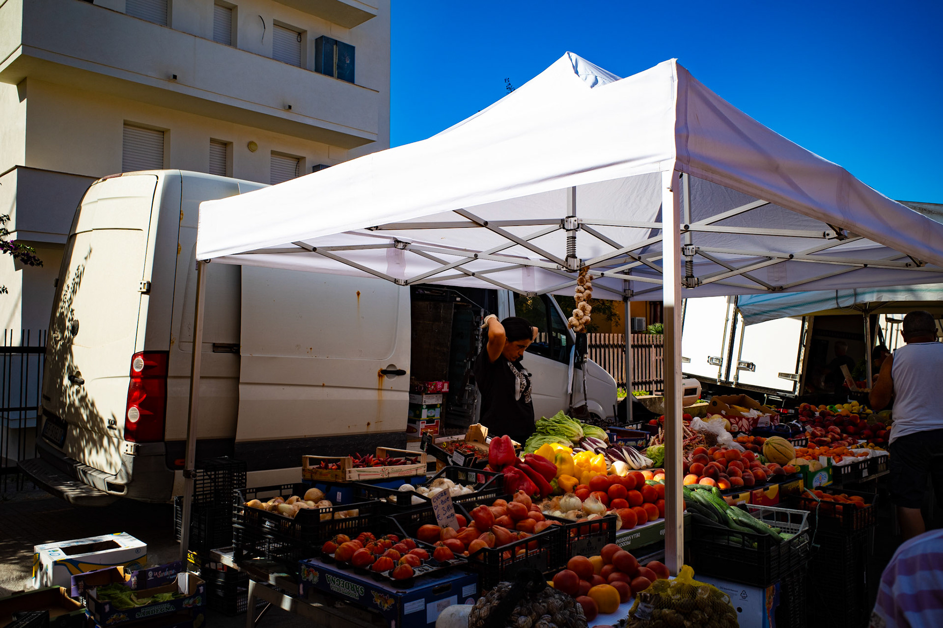 Fruits of the morning light