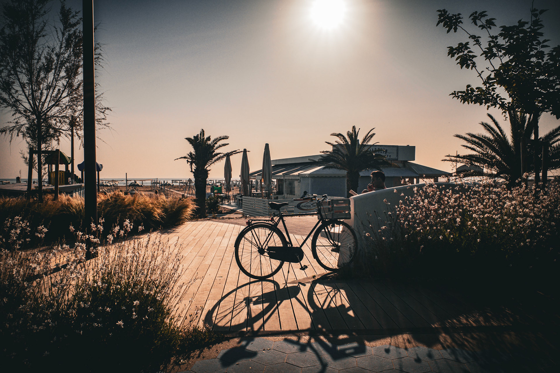 Sunset bicycle and the language of stillness