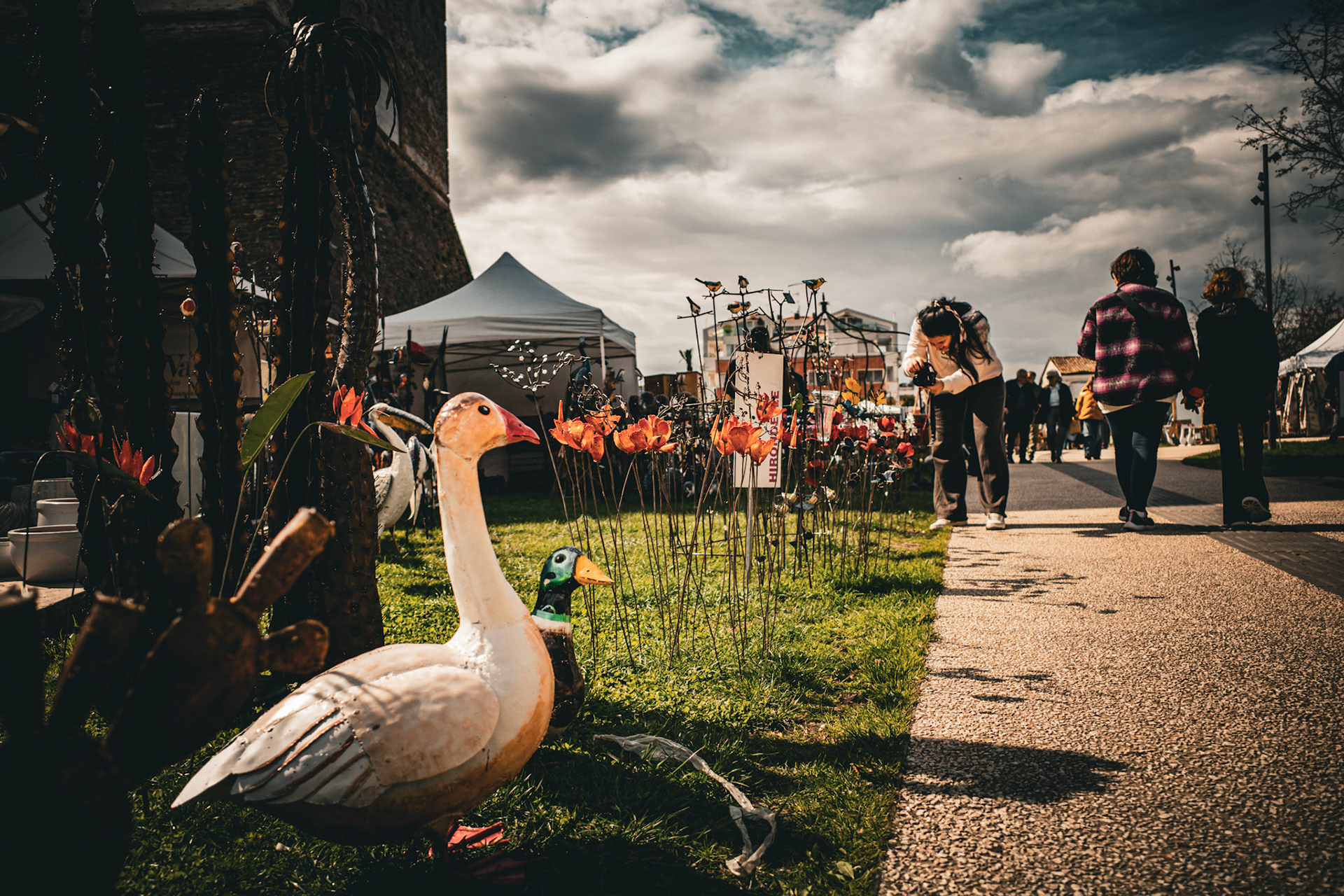 Walking through a spring dream