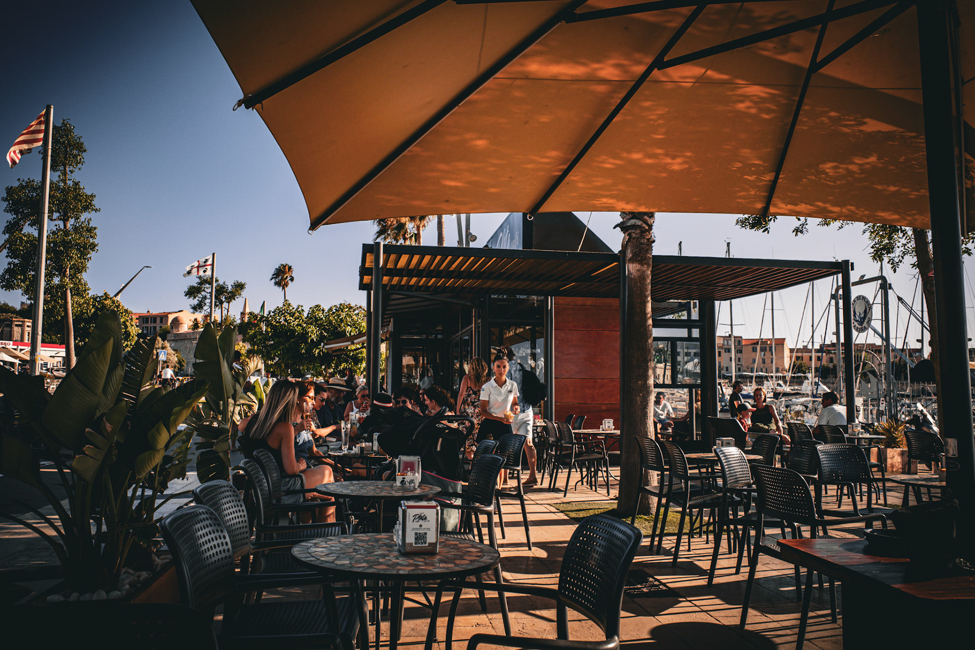 Afternoons woven with shade