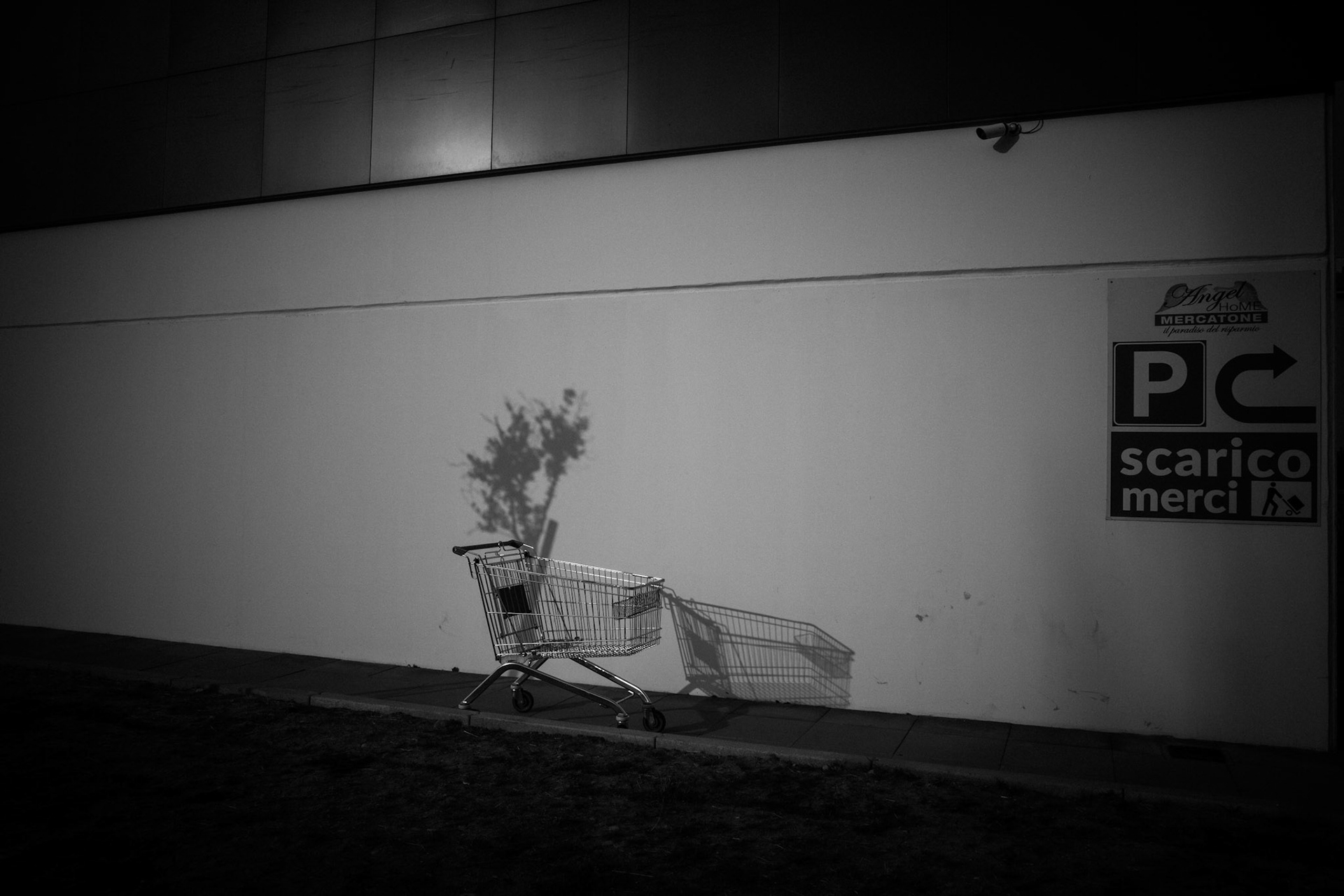 Lonely cart, borrowed tree