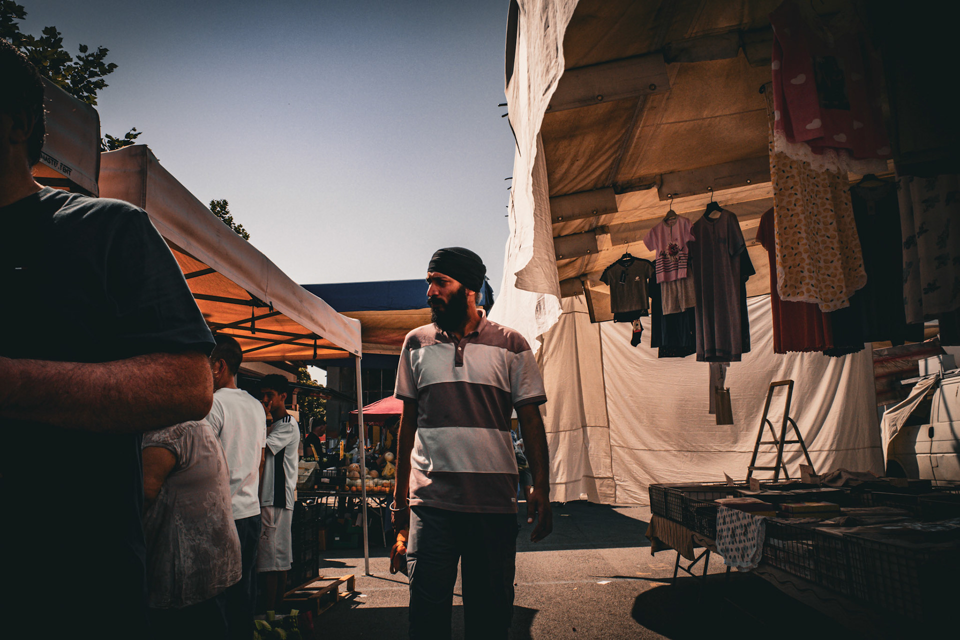 Among hanging dreams