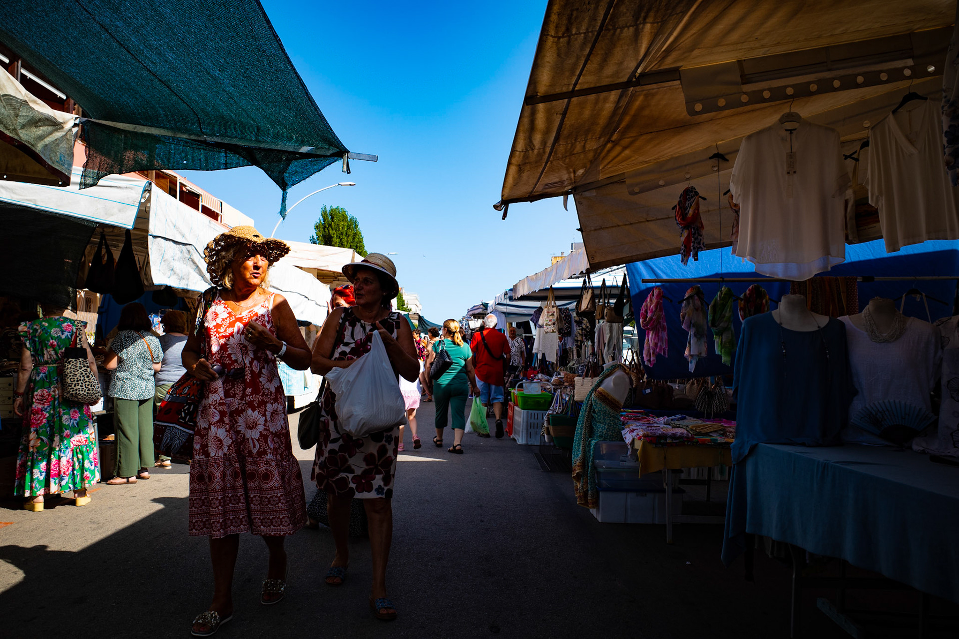 Voices of the market