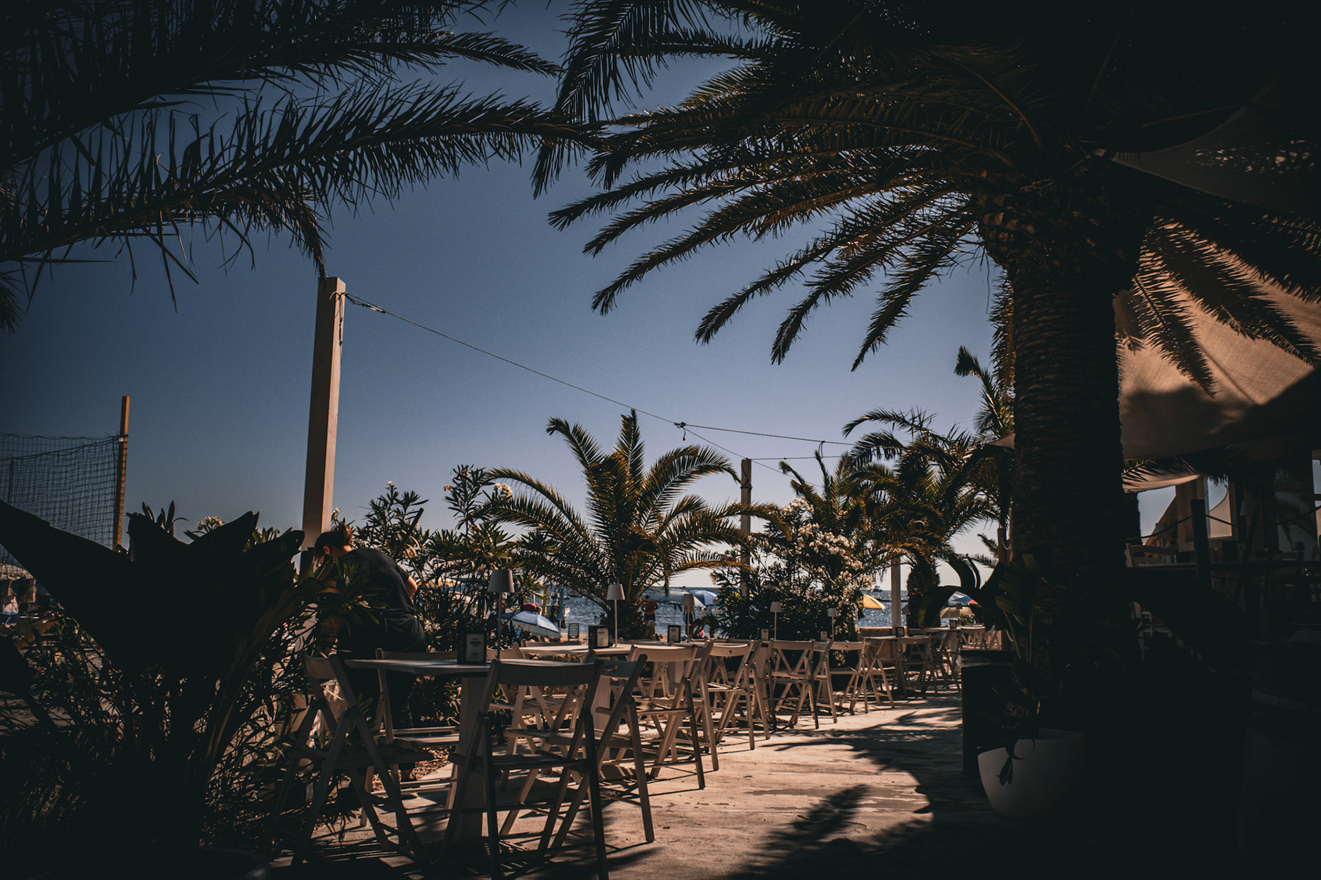 Whispers beneath the palm shadows