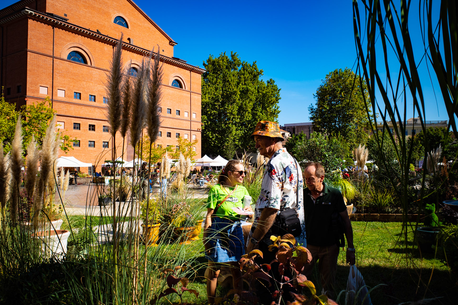 Where sunlight meets laughter