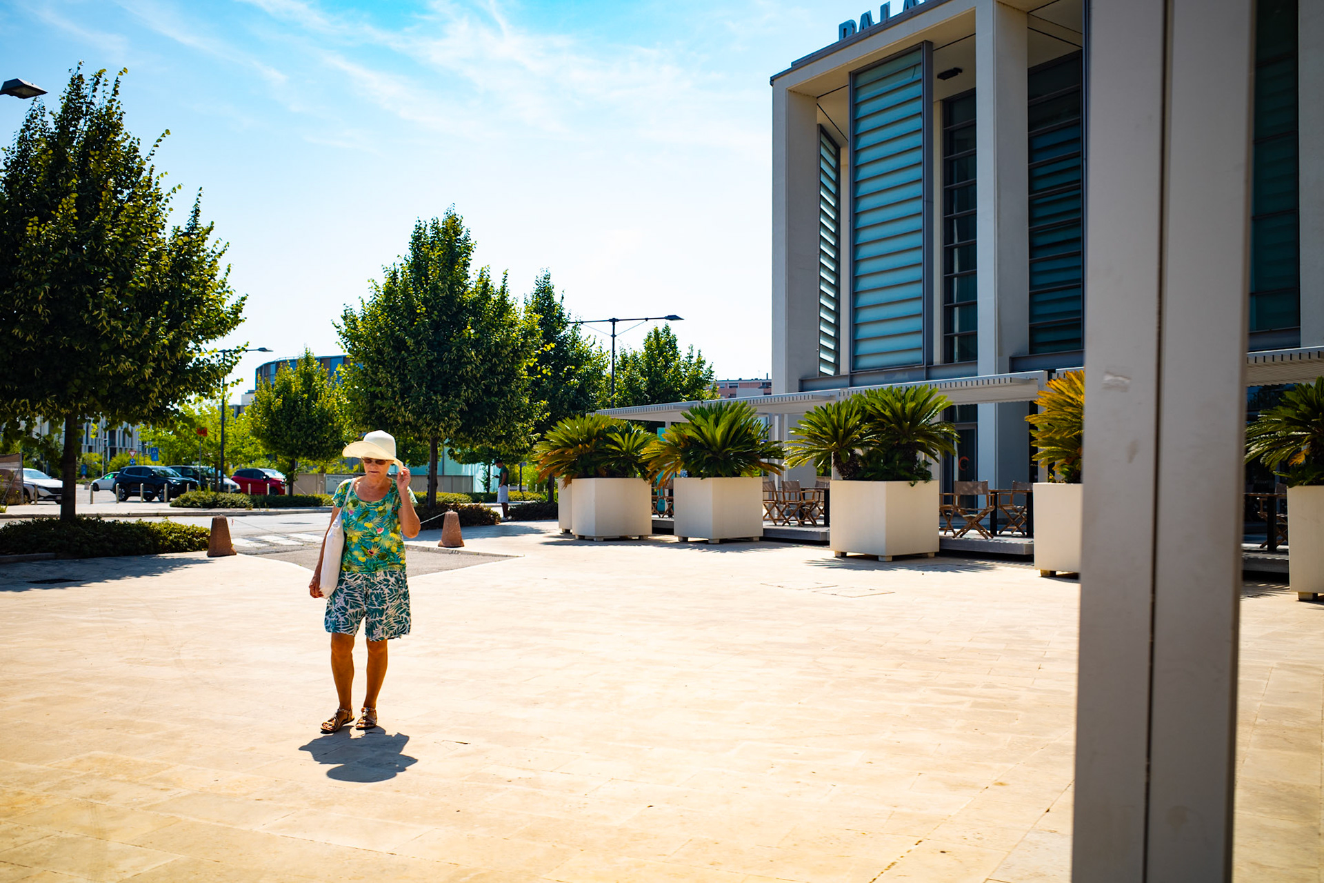 Born in the blaze of noon