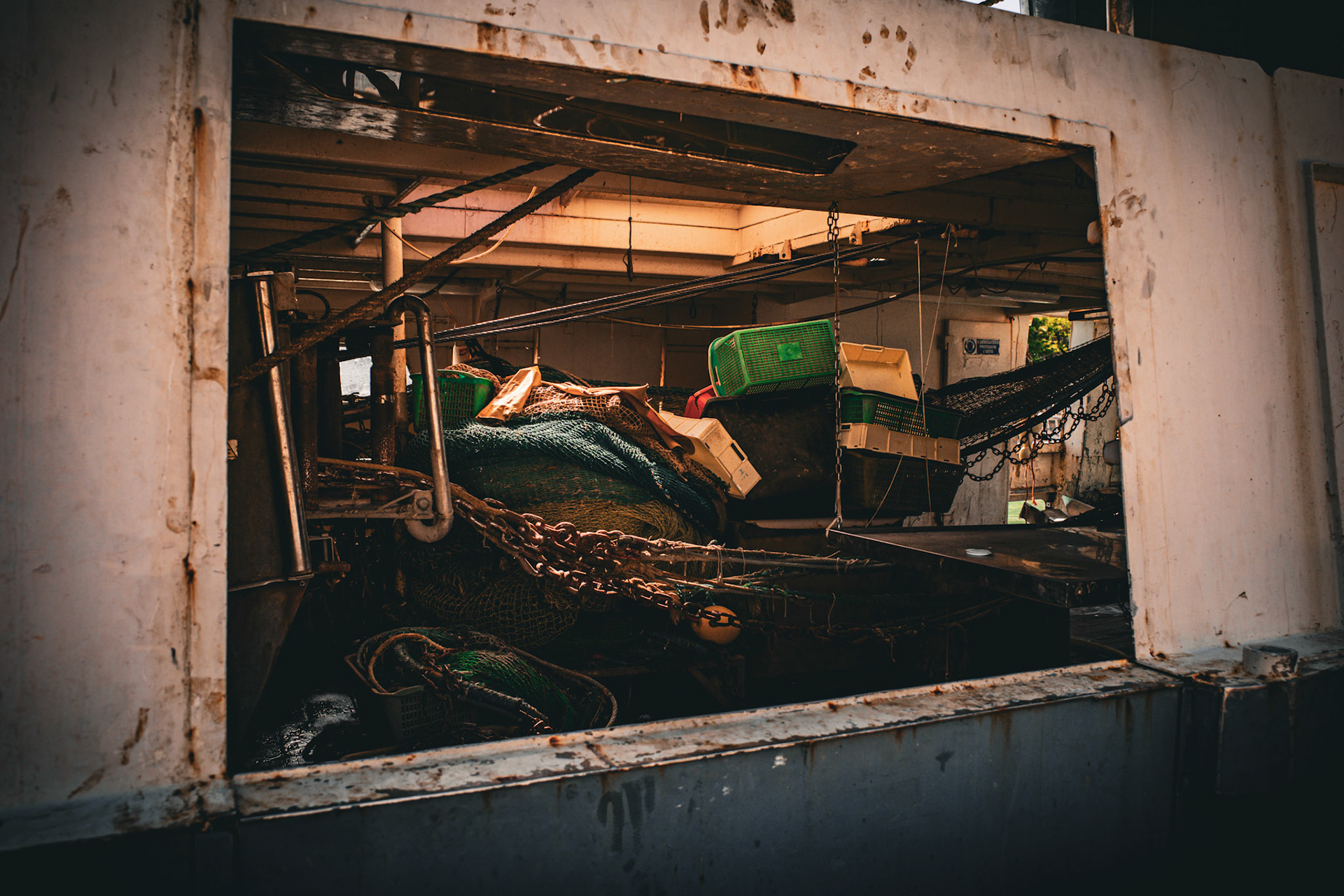 Inside the belly of the sea