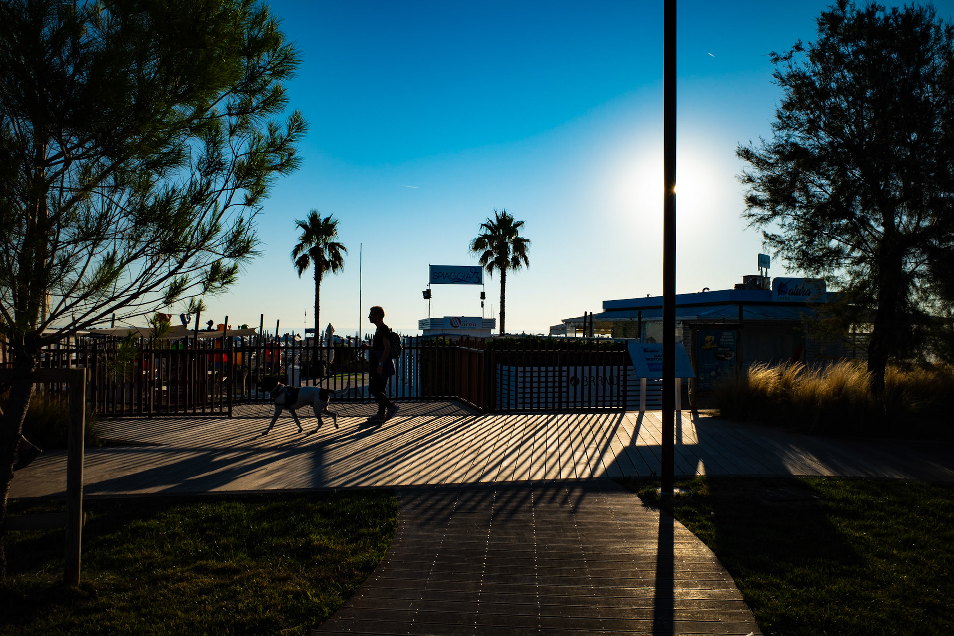 Born from the evening light