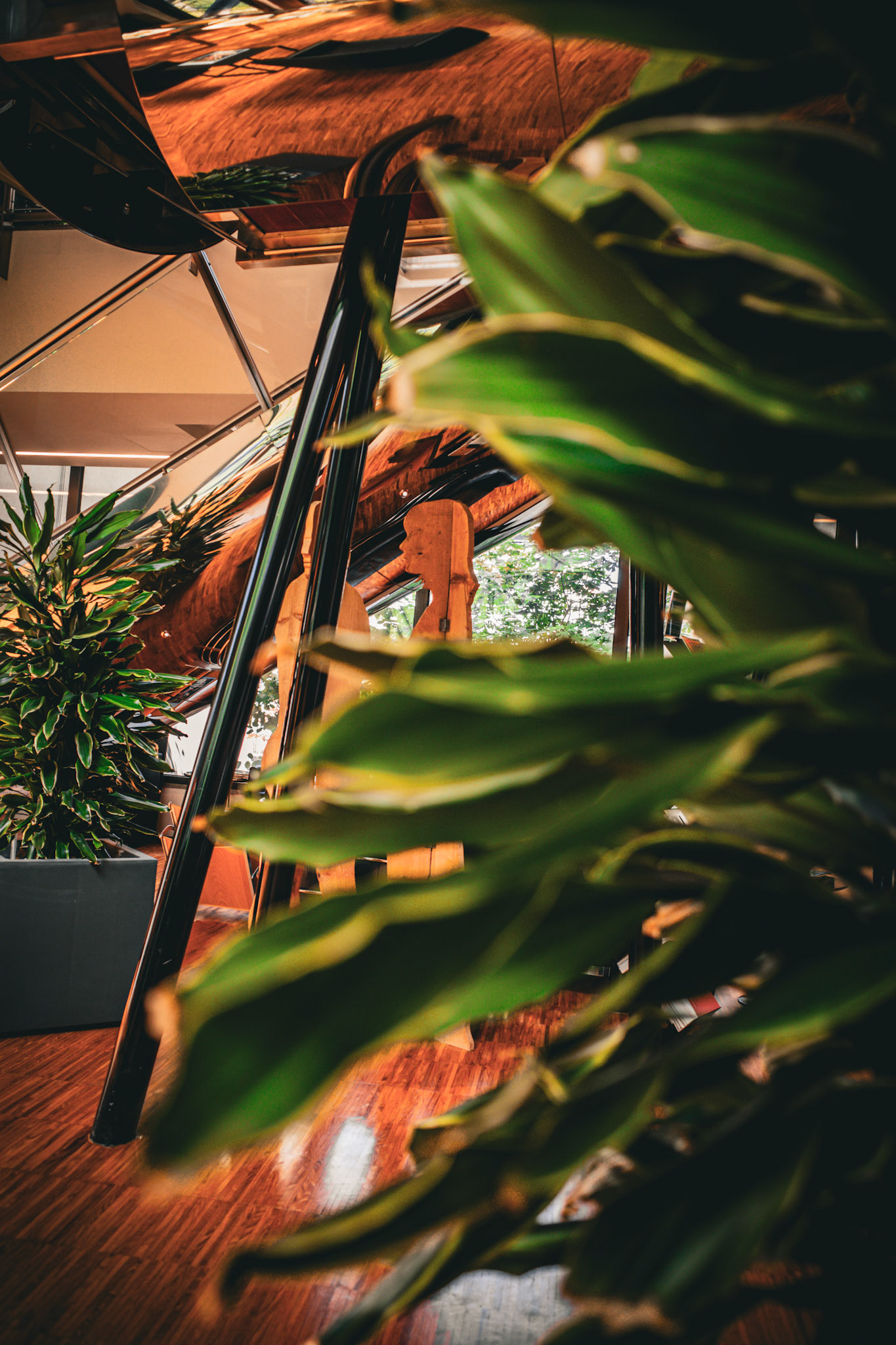 Echoes in wood and leaves