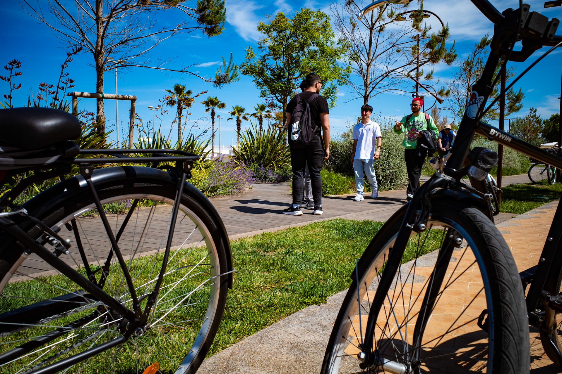 Between spokes and words