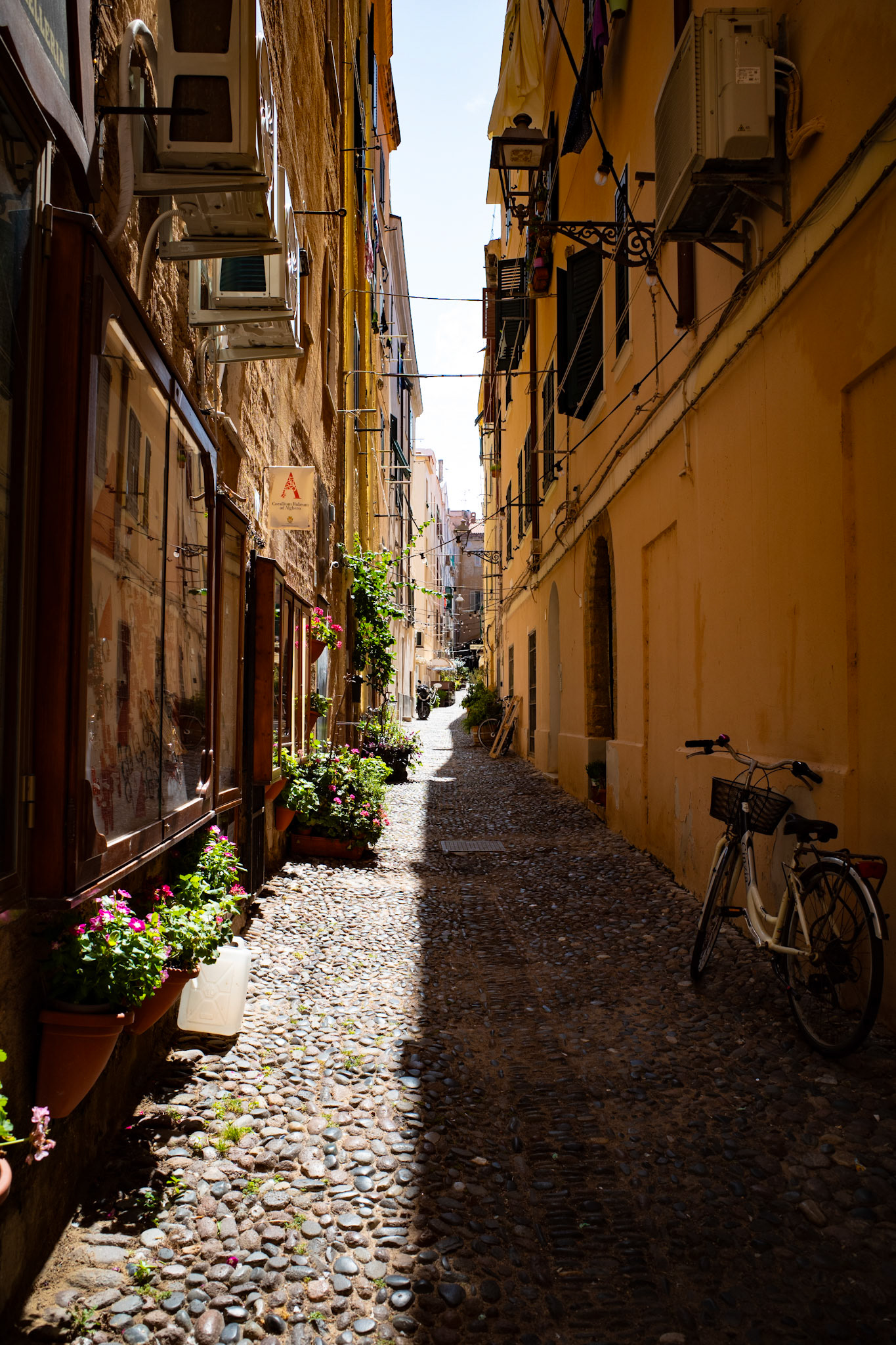 Whispers of a narrow sunlit street