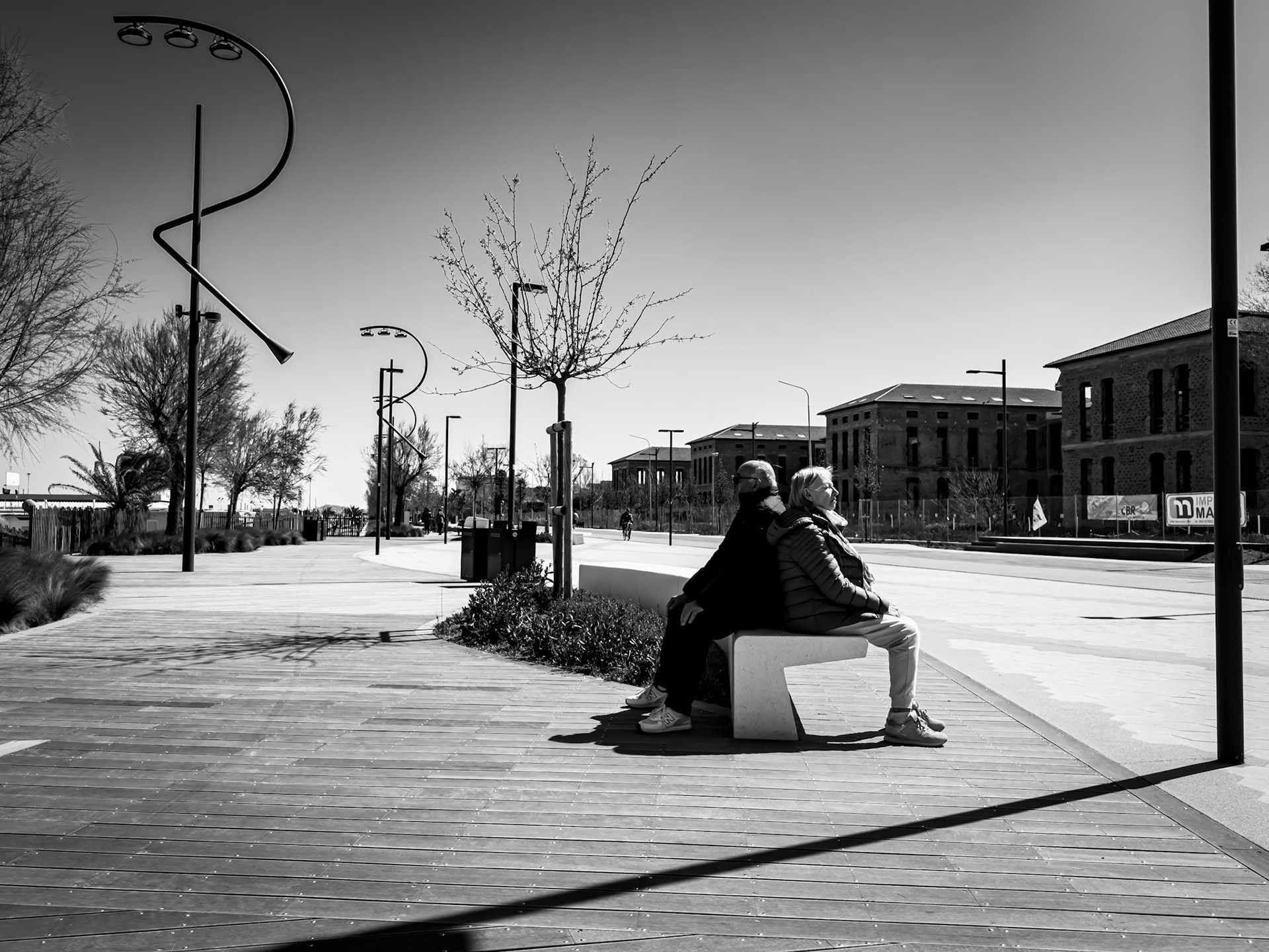 Blooms in the shadows
