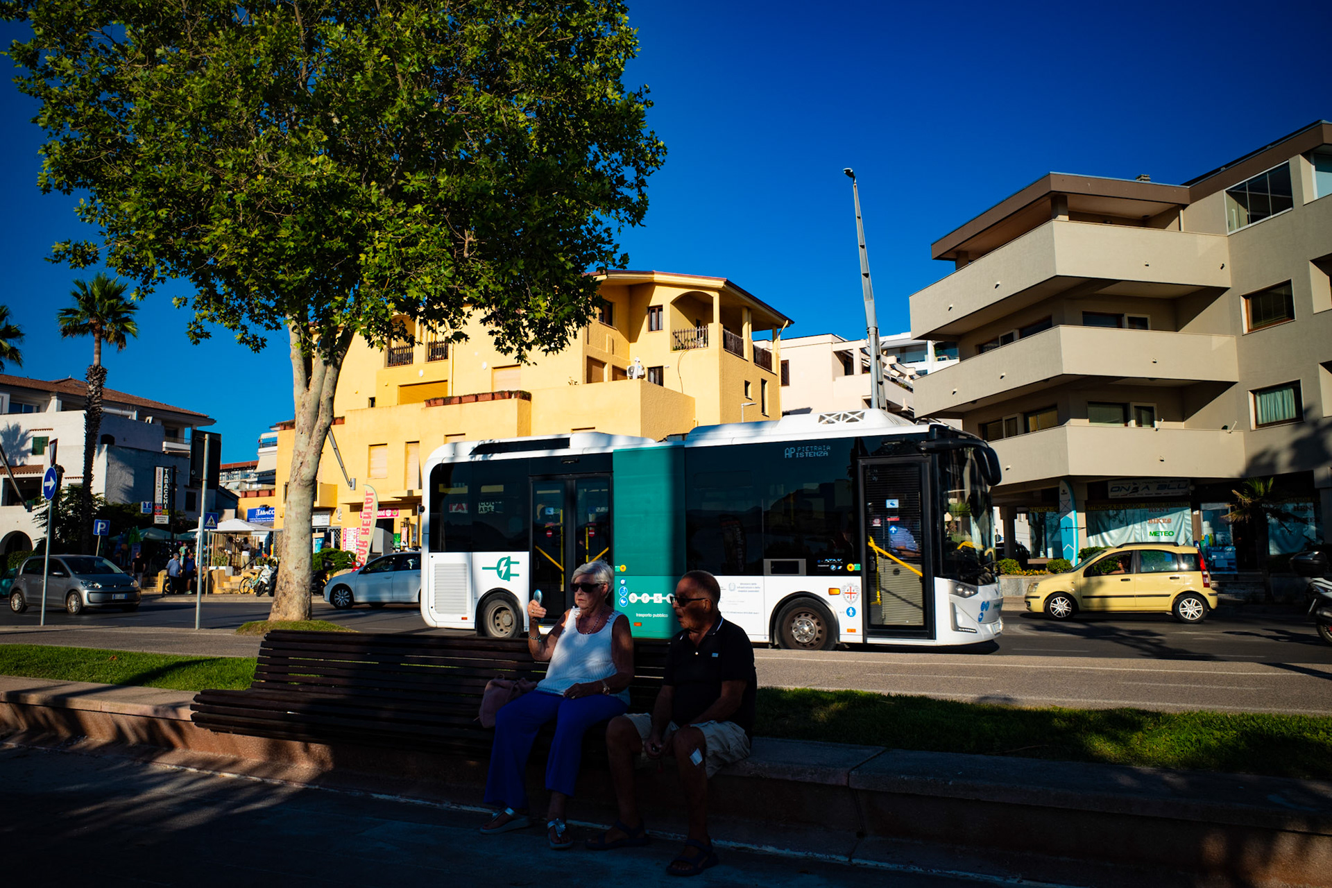 A pause between sunlit routes