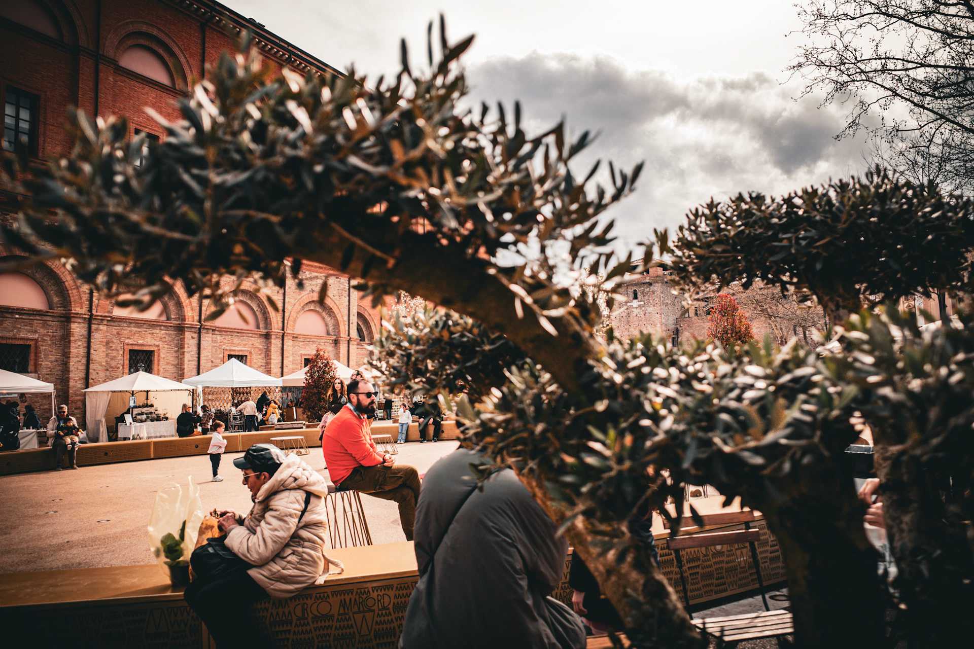 Scenes between branches