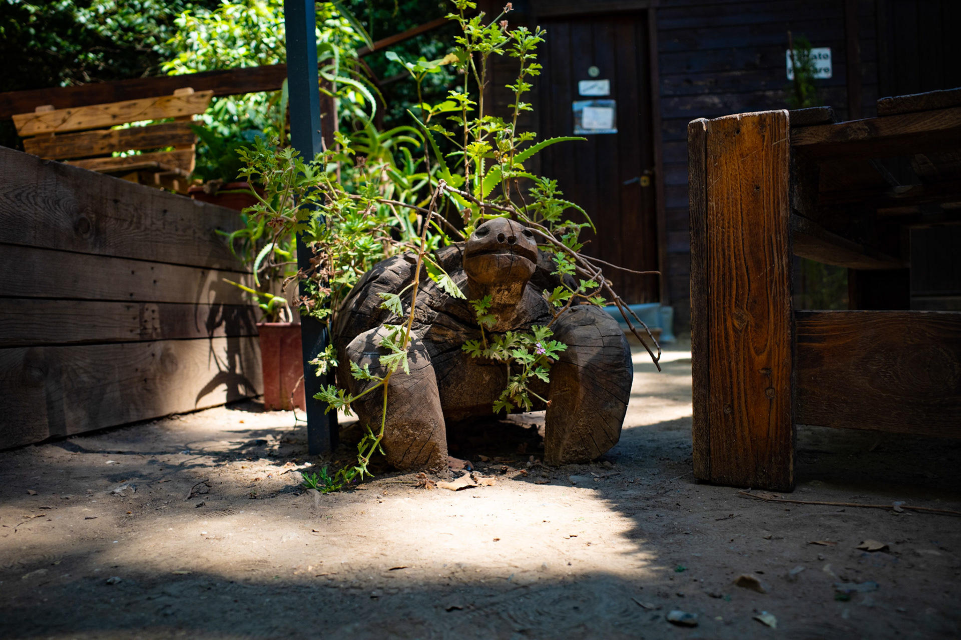 The guardian of slow time