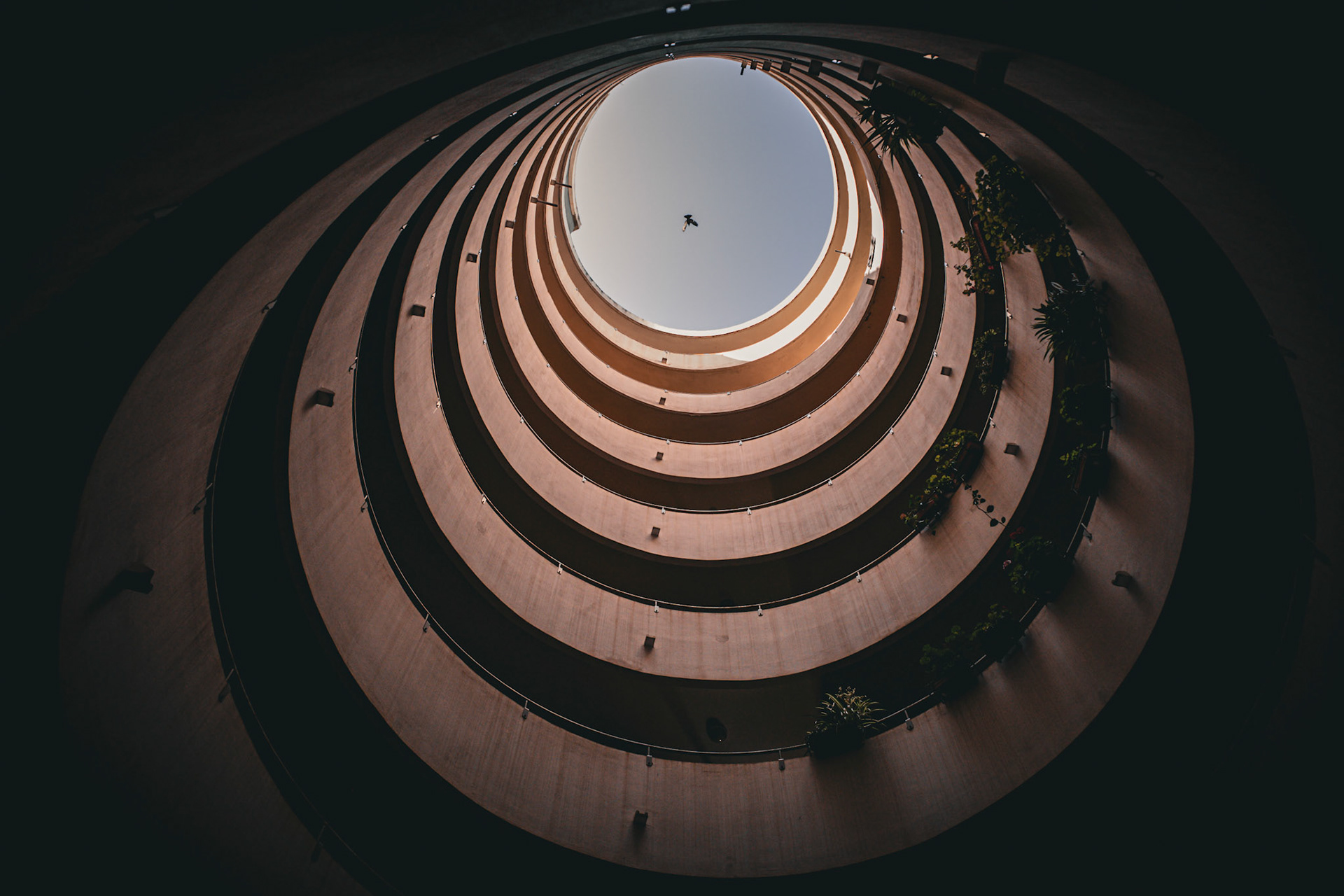 A bird carries the sky through the spiral
