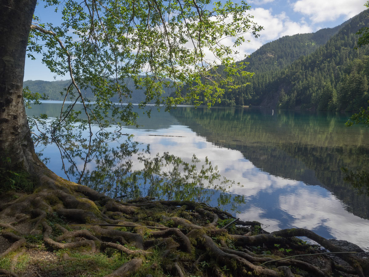 Lake Crescent, Olympic National Park, Washington