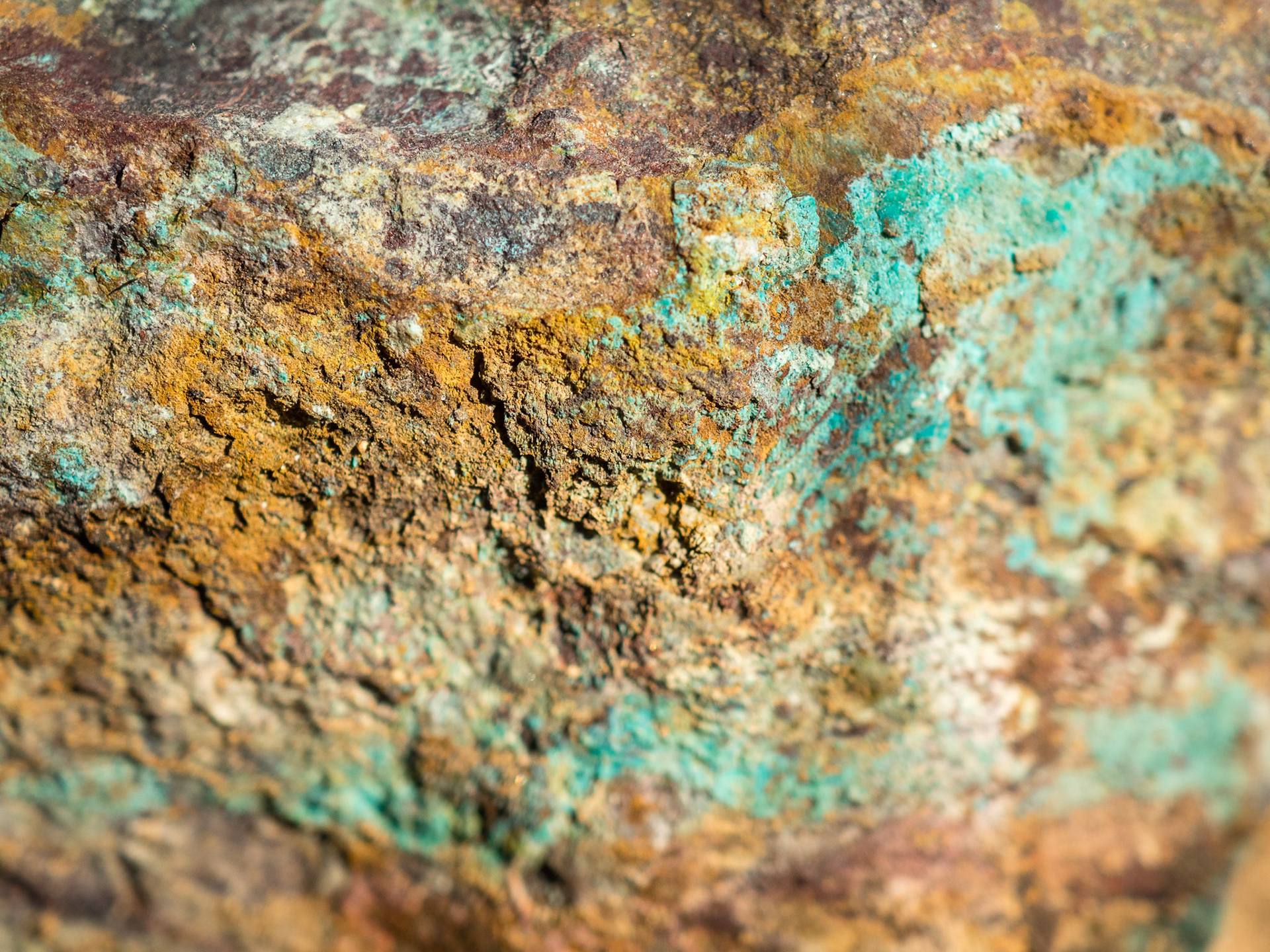 Closeup of the surface of a rock