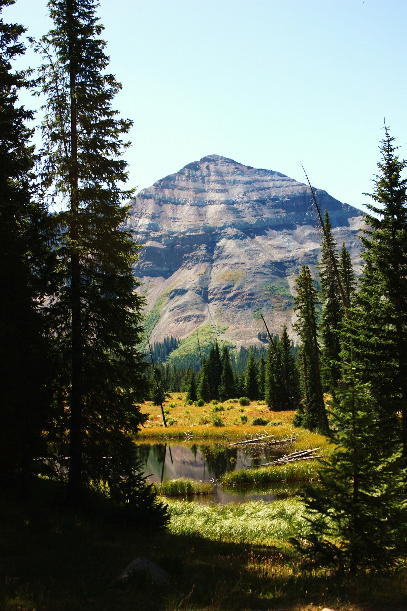 Mt Hesperus, San Juan National Forest, CO