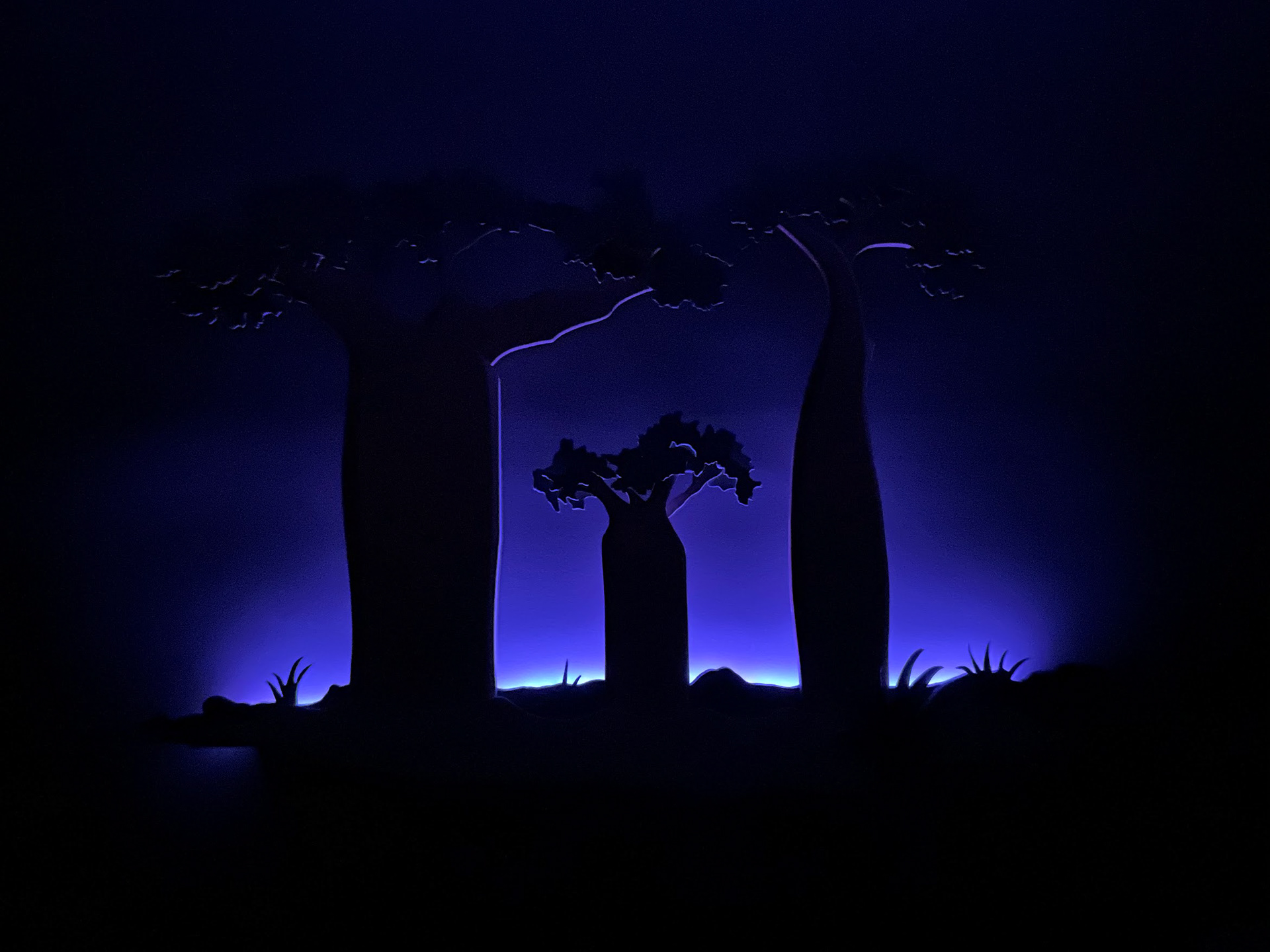 Baobabs (lights off, backlit)