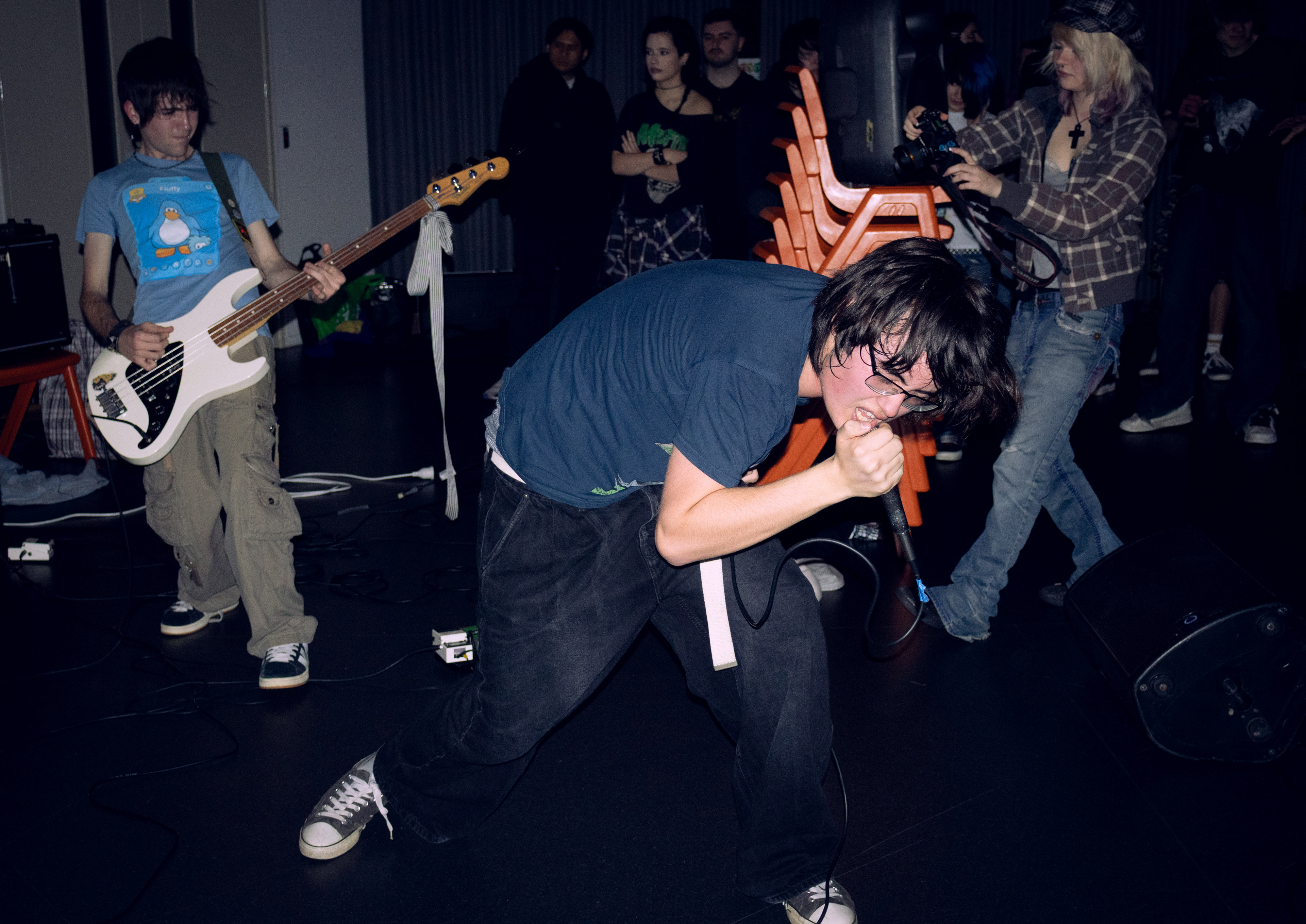Horsefly