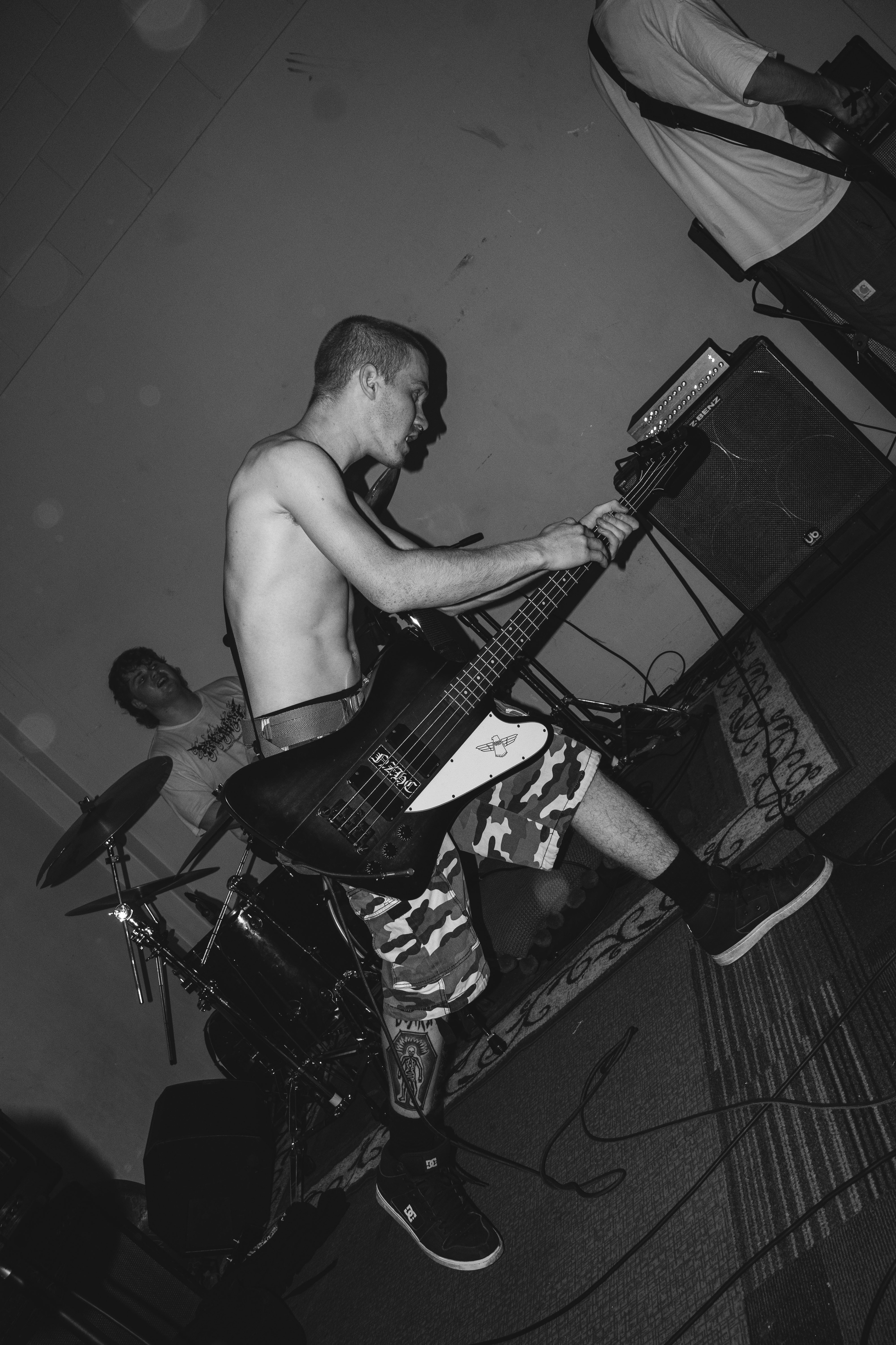 Cease & Desist