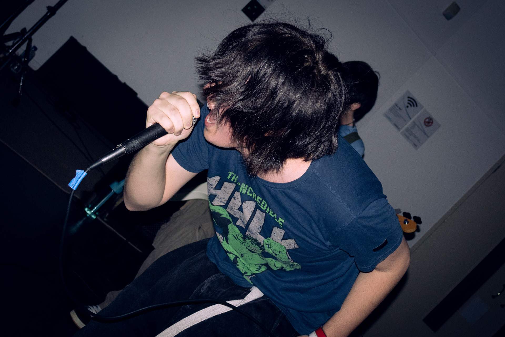 Horsefly