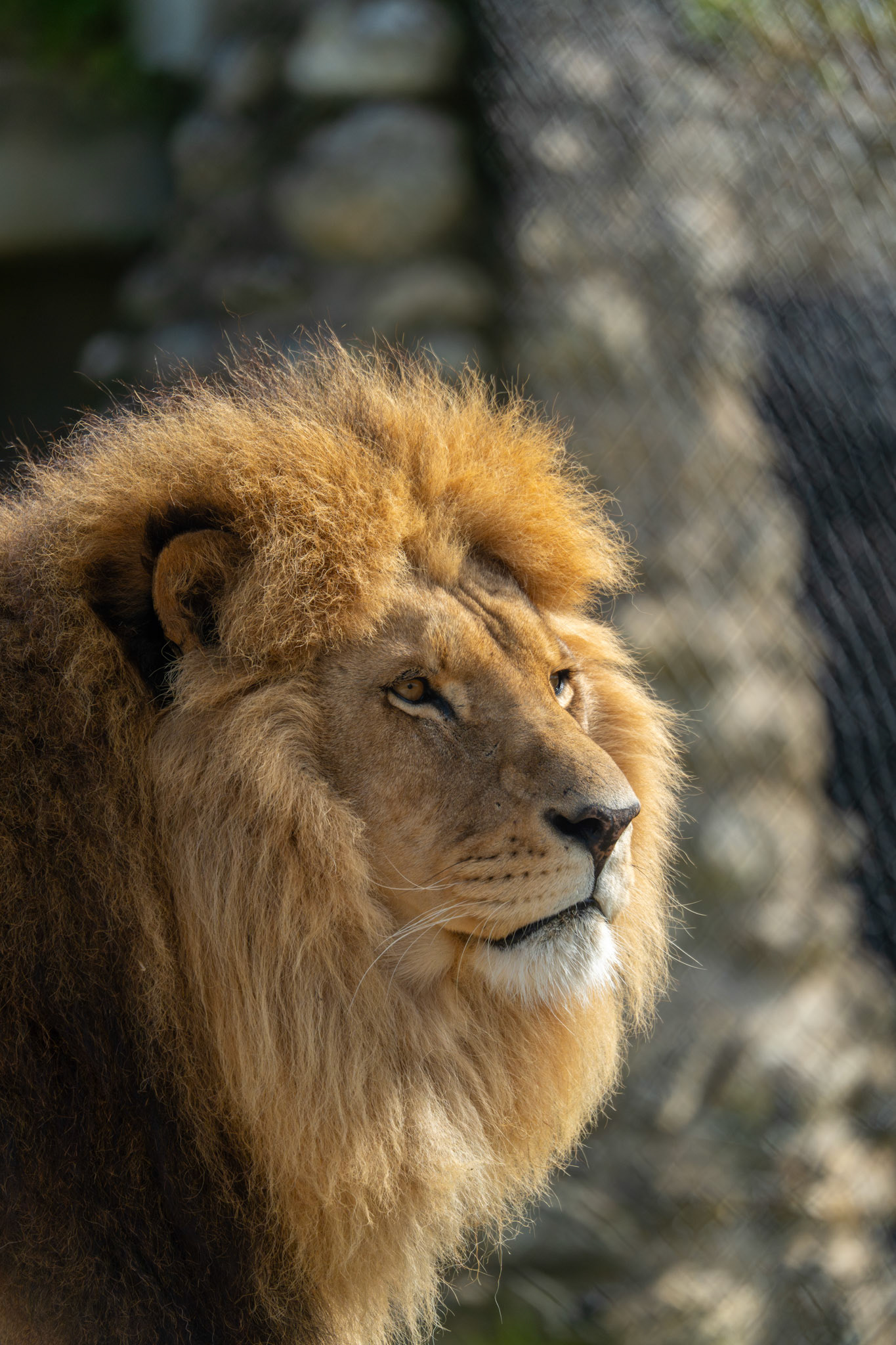 Zoo Refuge La Tanière