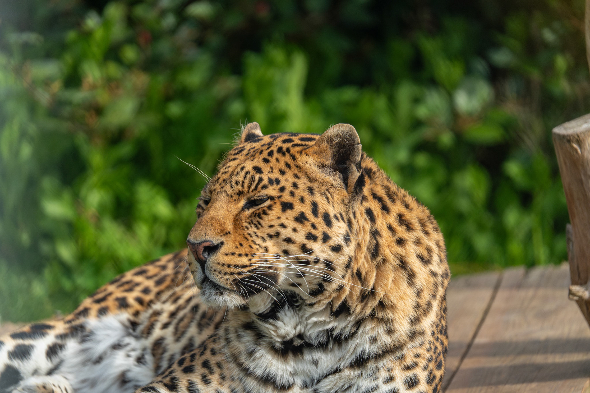 Zoo Refuge La Tanière