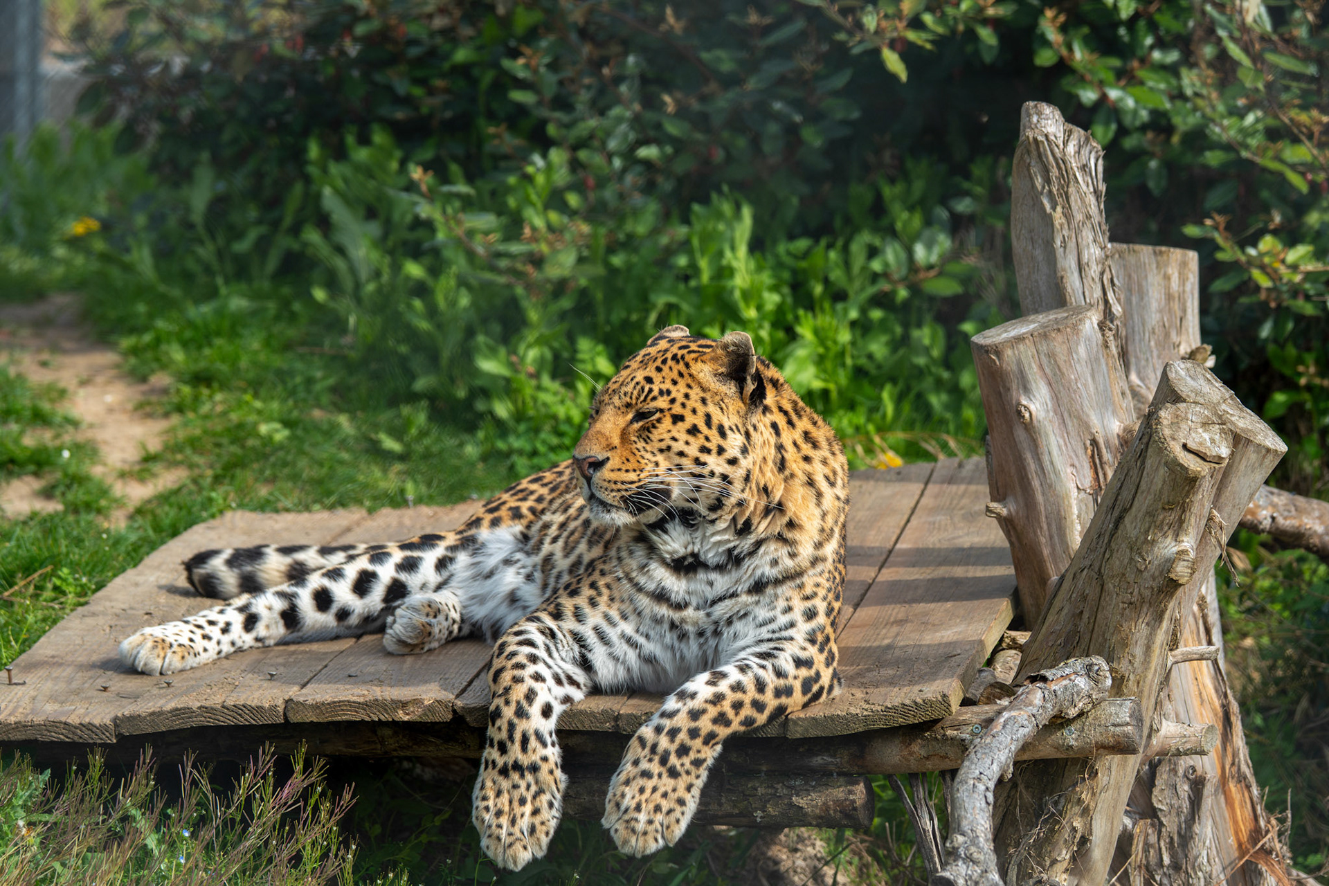 Zoo Refuge La Tanière