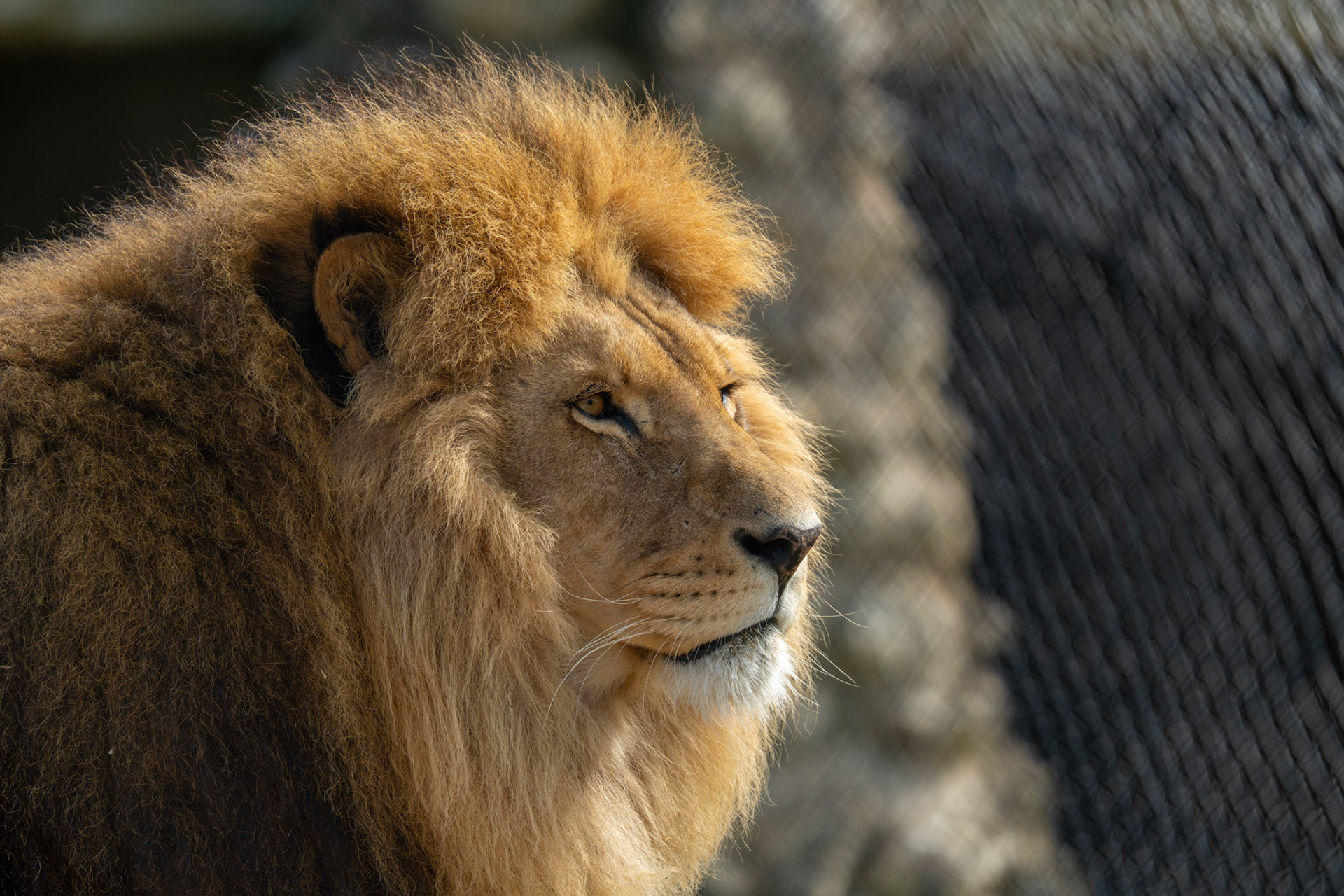 Zoo Refuge La Tanière