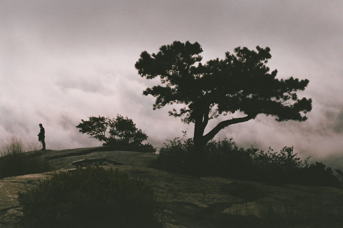 Bear Mountain, 2018